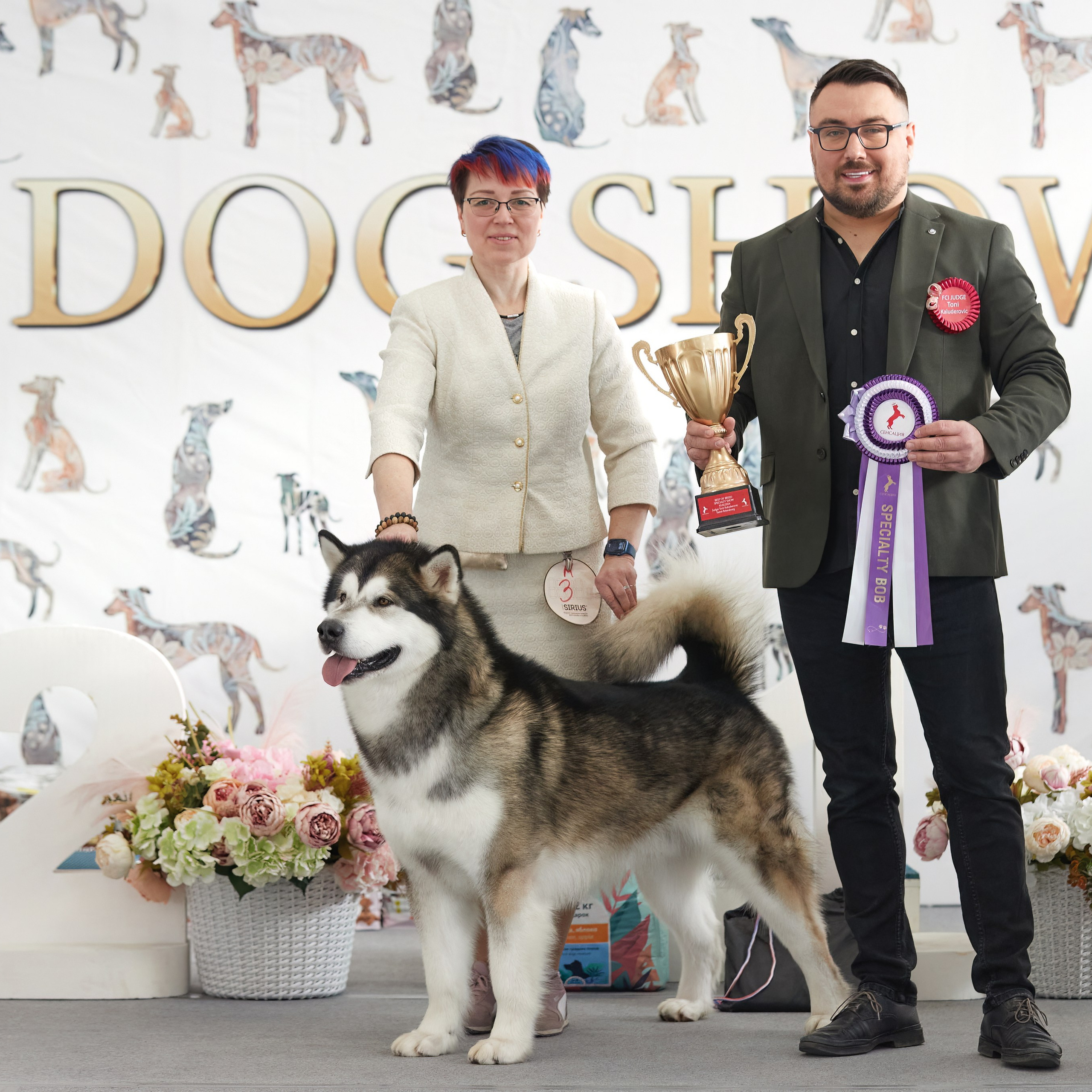 10-11.02.2024 ВЫСТАВКА СОБАК ВСЕХ ПОРОД (САС, ЧФ). Кинологический клуб РКФ РФСС СЕНСАЦИЯ