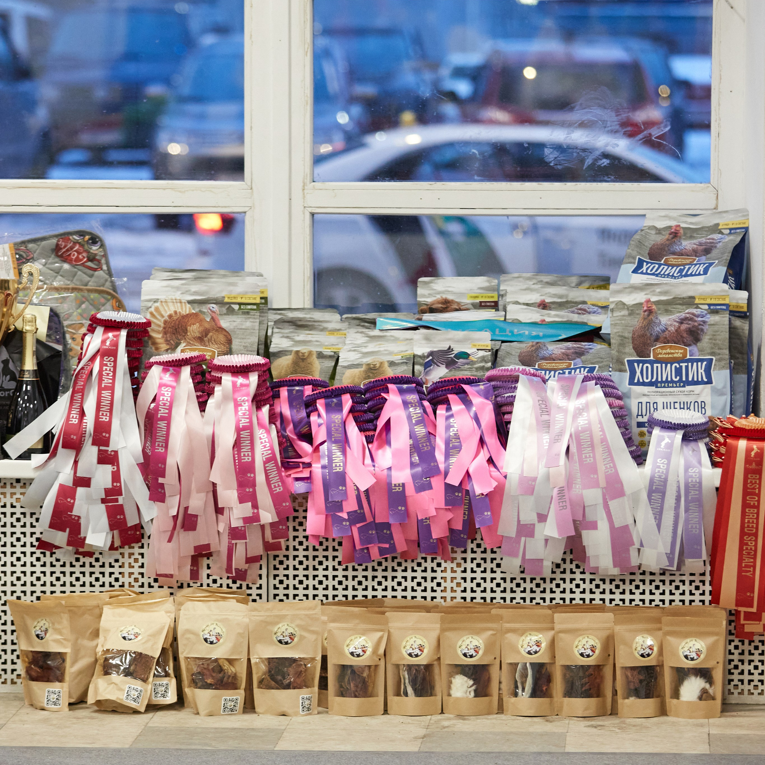 10-11.02.2024 ВЫСТАВКА СОБАК ВСЕХ ПОРОД (САС, ЧФ). Кинологический клуб РКФ РФСС СЕНСАЦИЯ