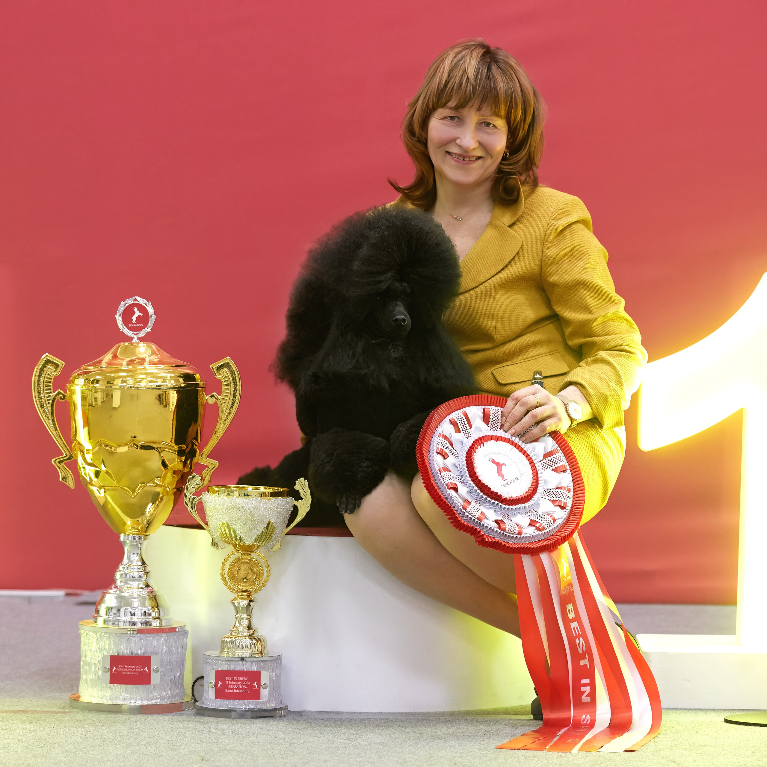 10-11.02.2024 ВЫСТАВКА СОБАК ВСЕХ ПОРОД (САС, ЧФ). Кинологический клуб РКФ РФСС СЕНСАЦИЯ