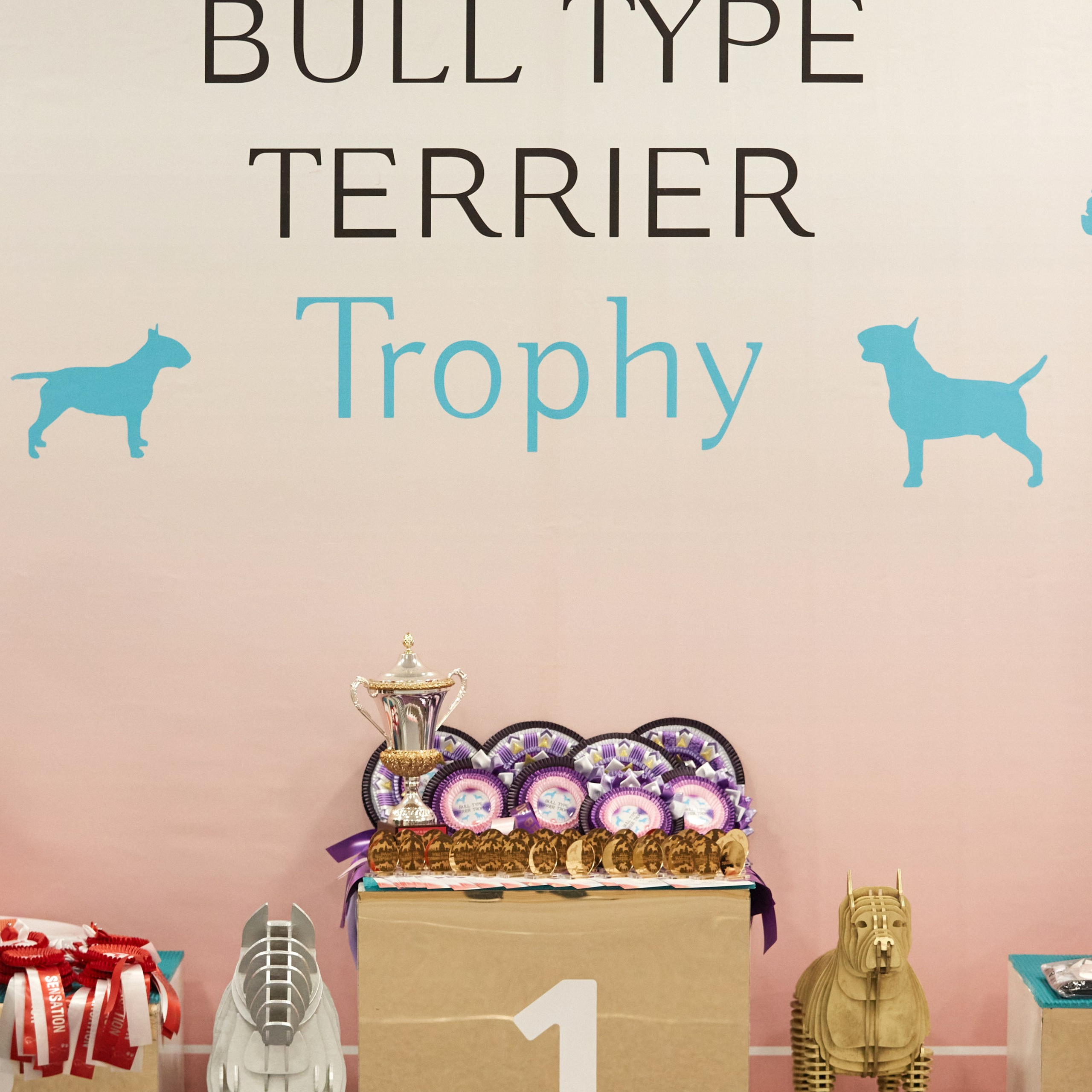 10-11.02.2024 ВЫСТАВКА СОБАК ВСЕХ ПОРОД (САС, ЧФ). Кинологический клуб РКФ РФСС СЕНСАЦИЯ