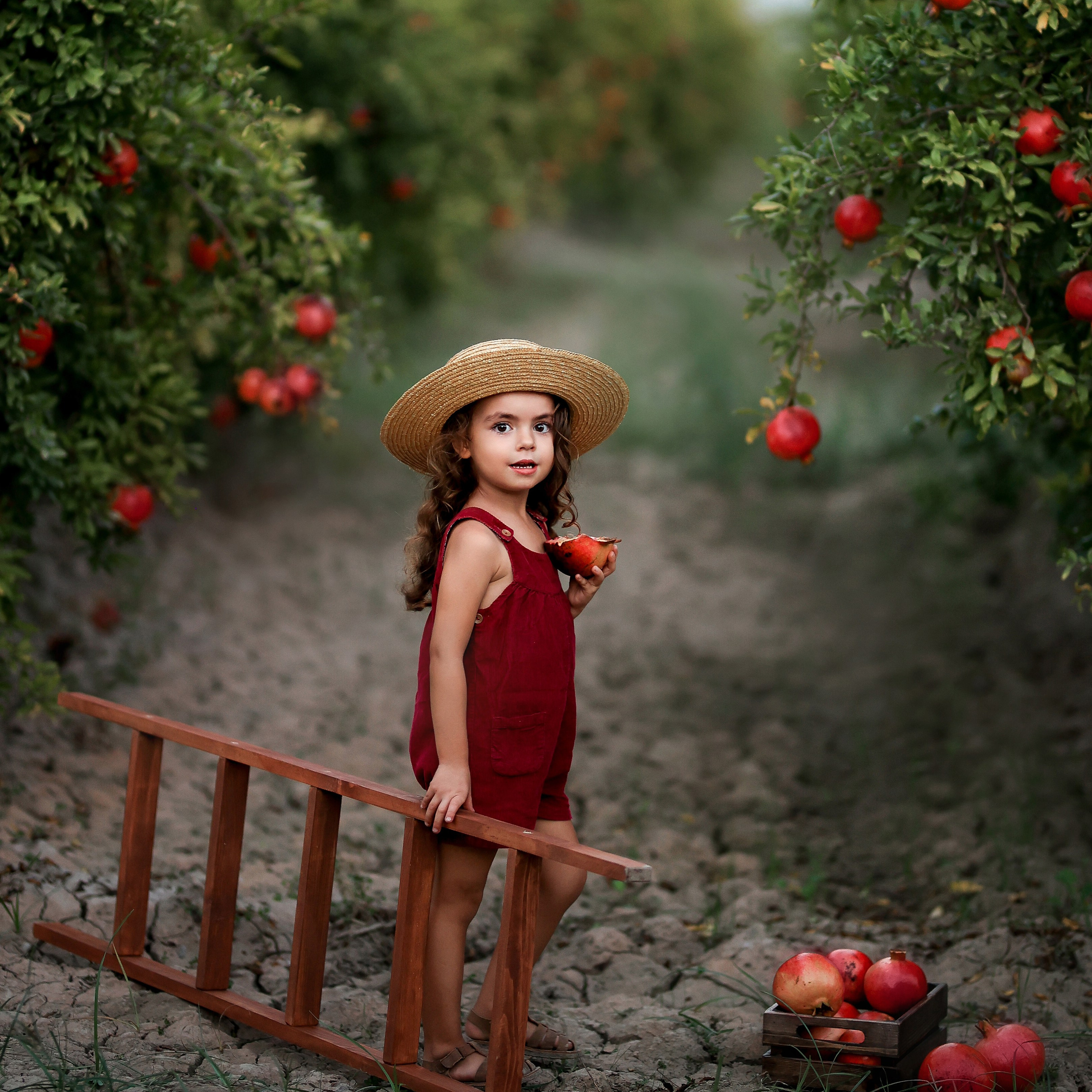 Photoshooting in pomegranate garden