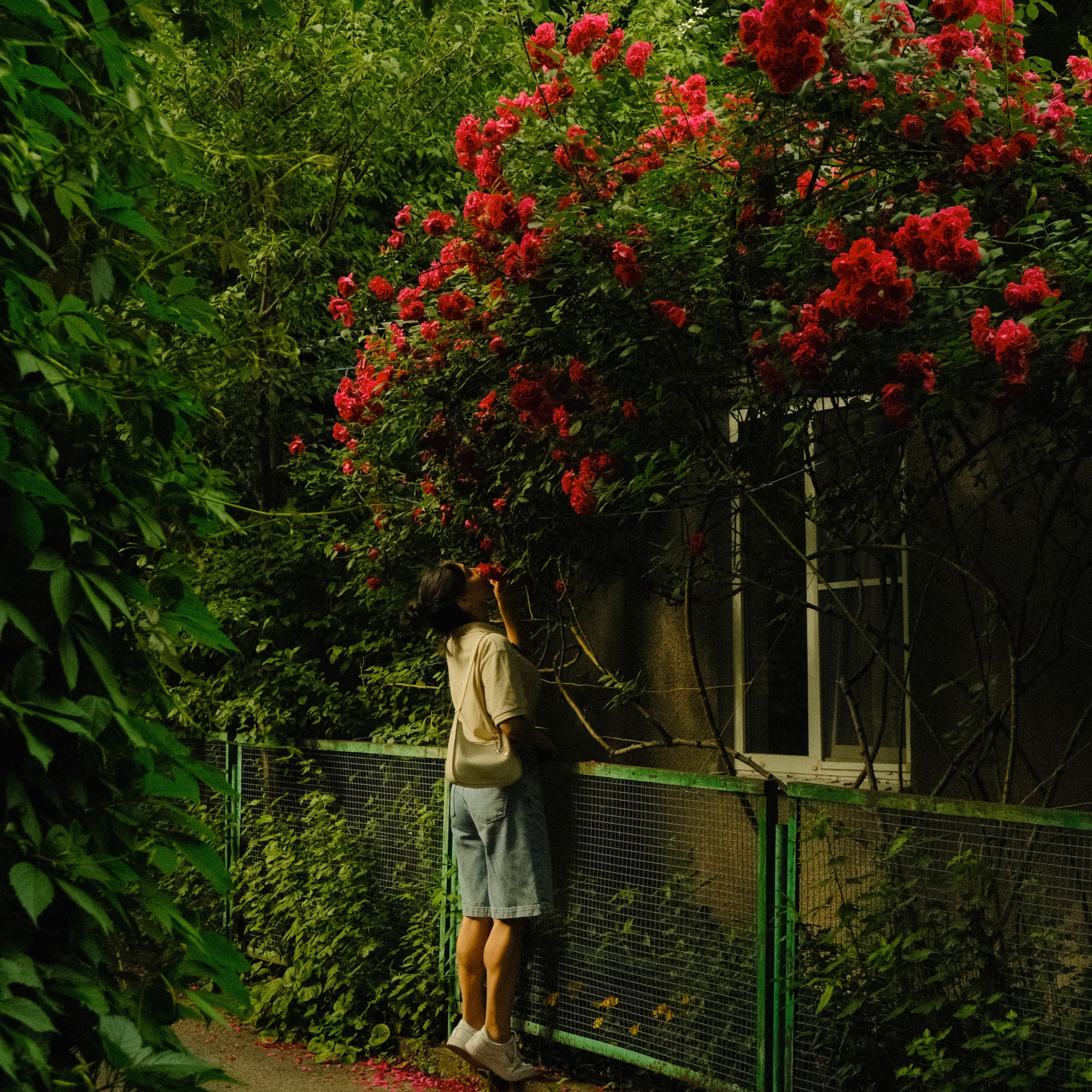 Portrait, Couple & Family Photographer in Vienna — Nikita Pavlov