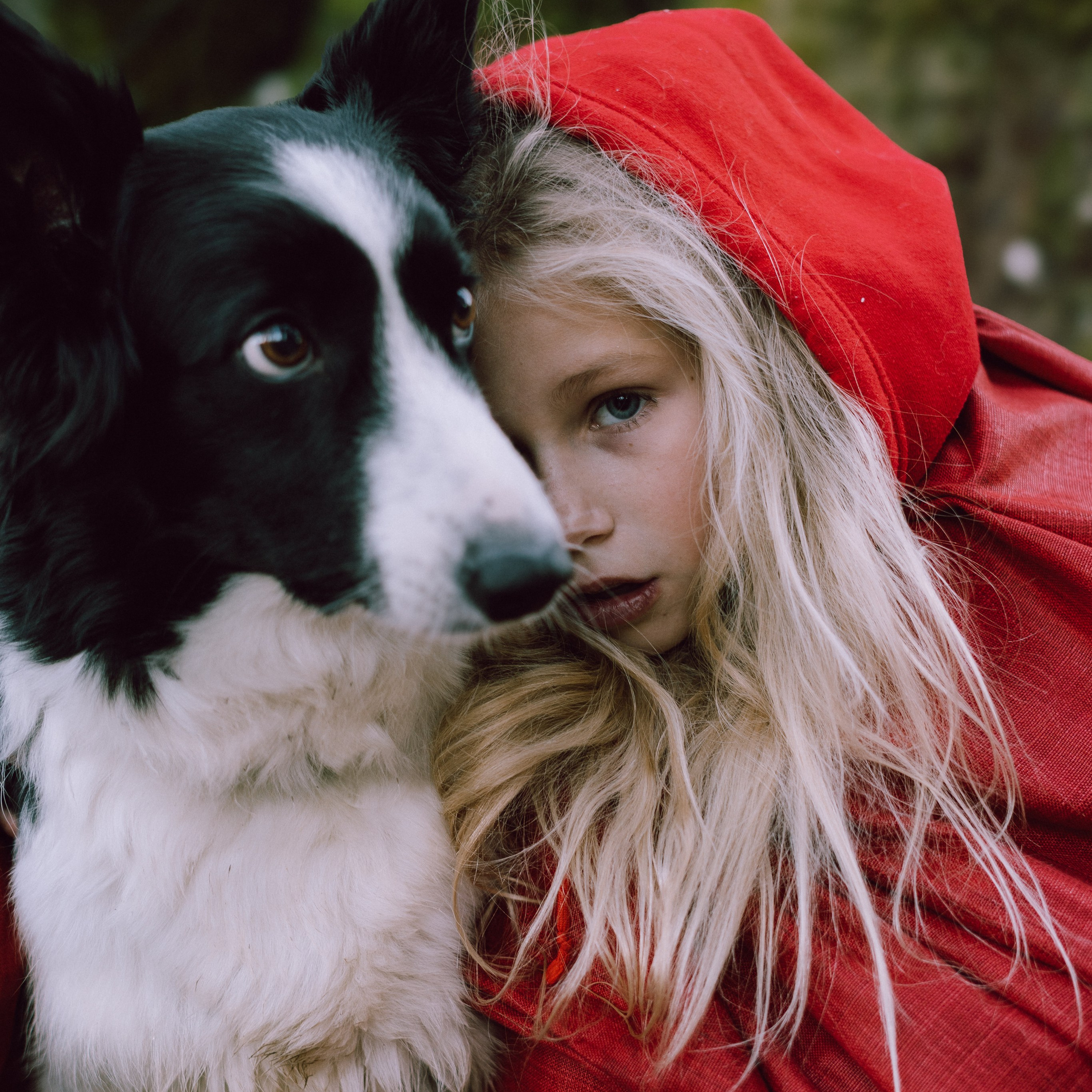 Little Red Hood