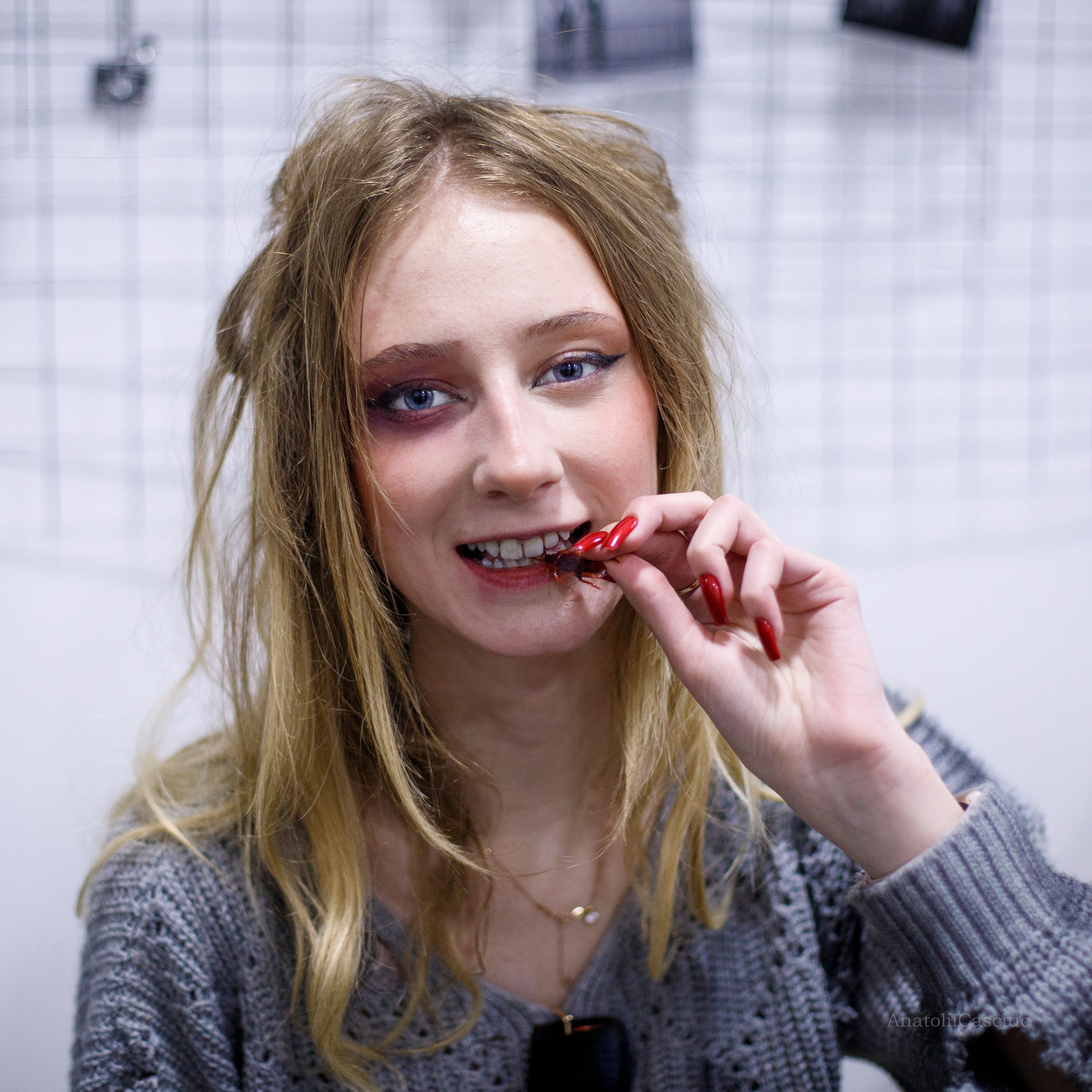 Встреча нового года в Школе фотографии Романа Рыбалёва photoschool.md. Школа Фотографии Романа Рыбалёва. Город Кишинёв, Молдова