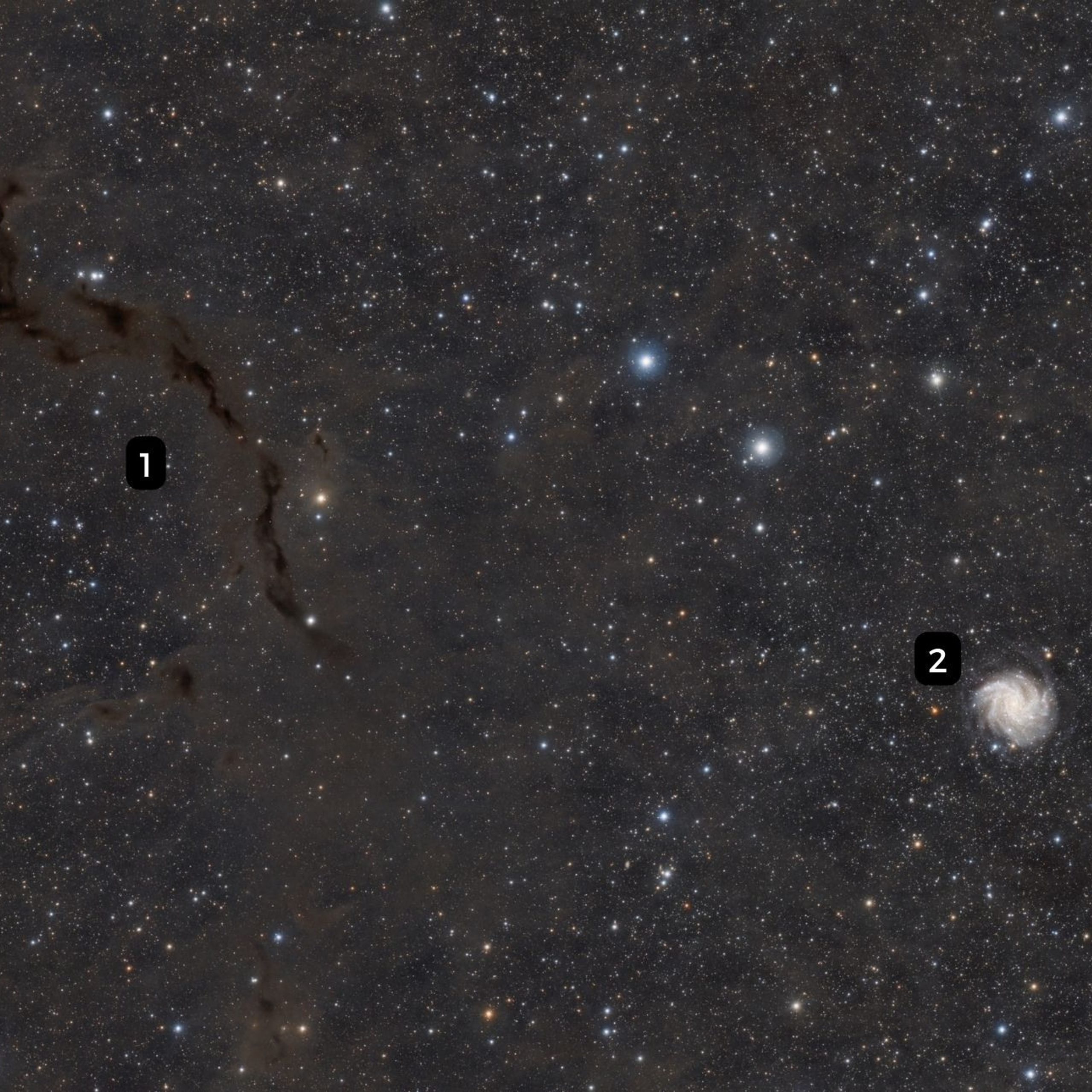 C/2023 A3 (Tsuchinshan–ATLAS). Həvəskar Astronomlar Cəmiyyəti — Astronomy.az