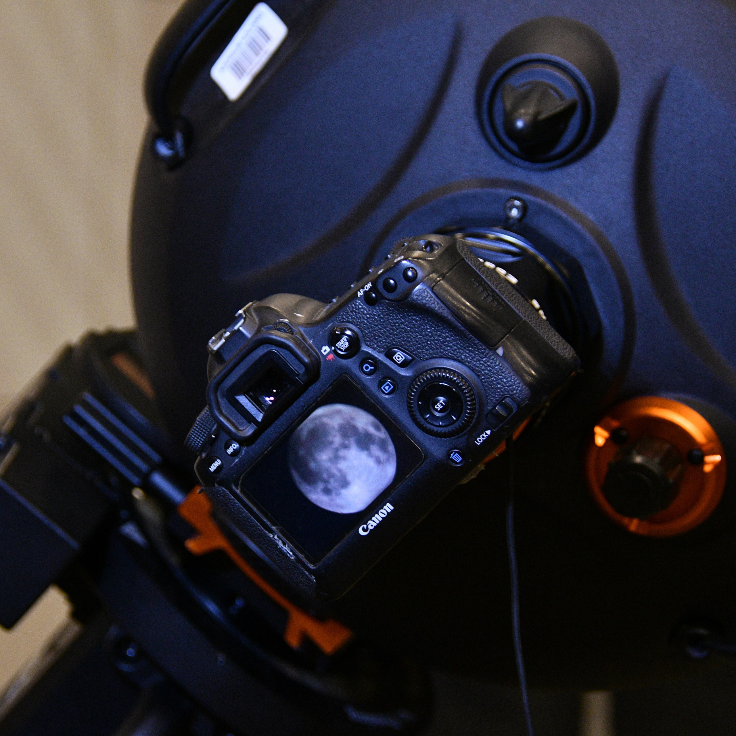 Ay Tutulması 2025. Həvəskar Astronomlar Cəmiyyəti — Astronomy.az