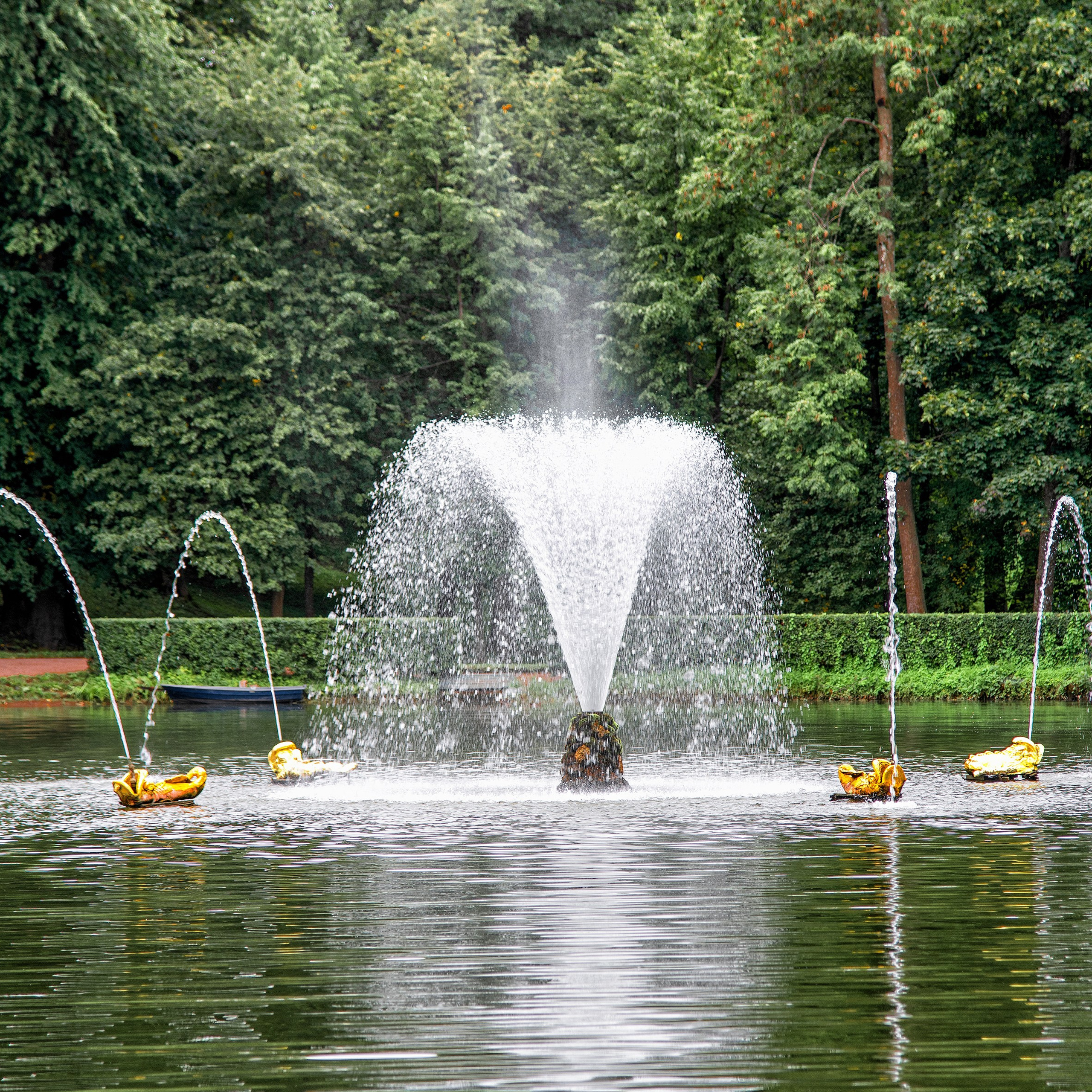 Photographer’s portfolio. AI Photo Retoucher and Image Restorer Zhanna Ognivo