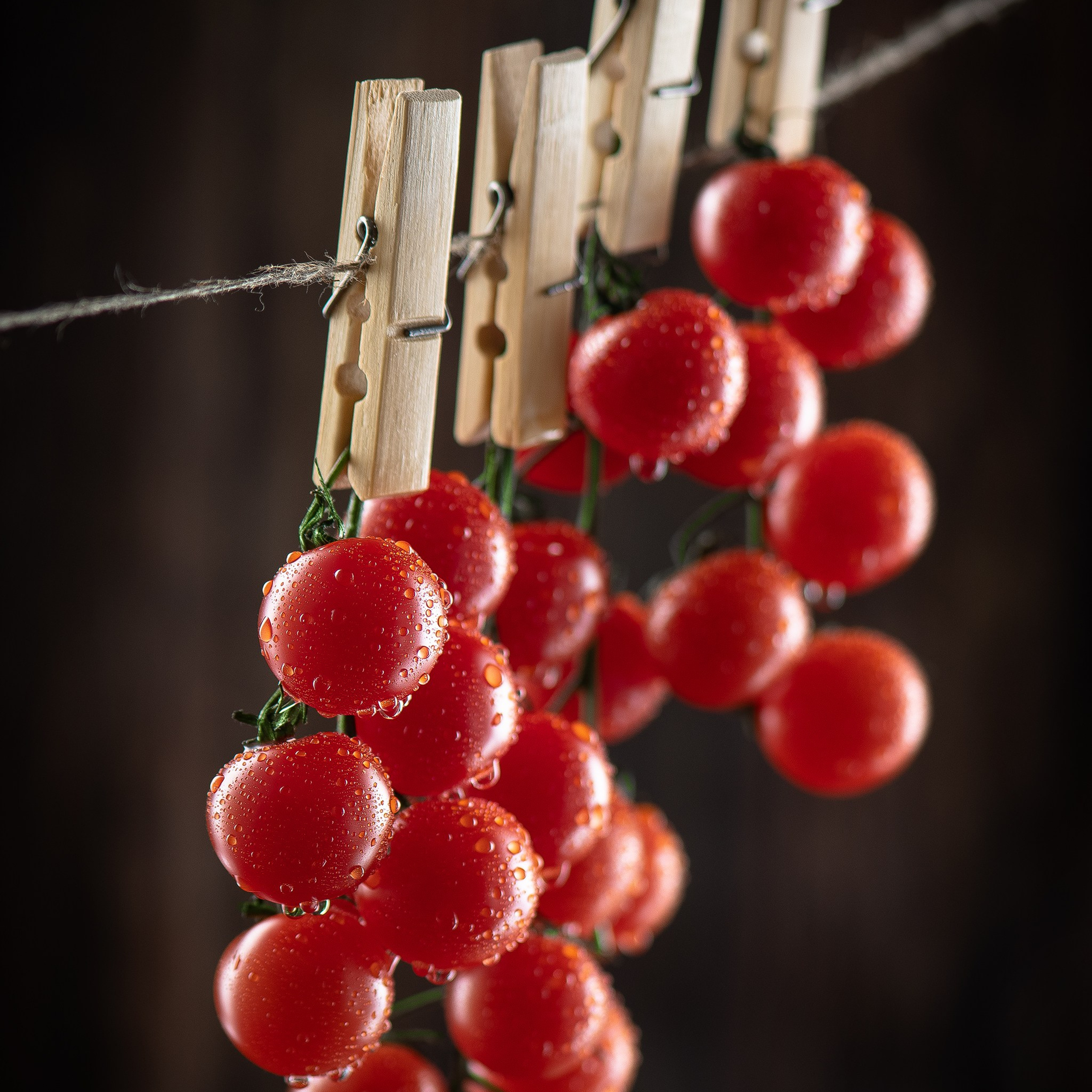 Photographer’s portfolio. AI Photo Retoucher and Image Restorer Zhanna Ognivo