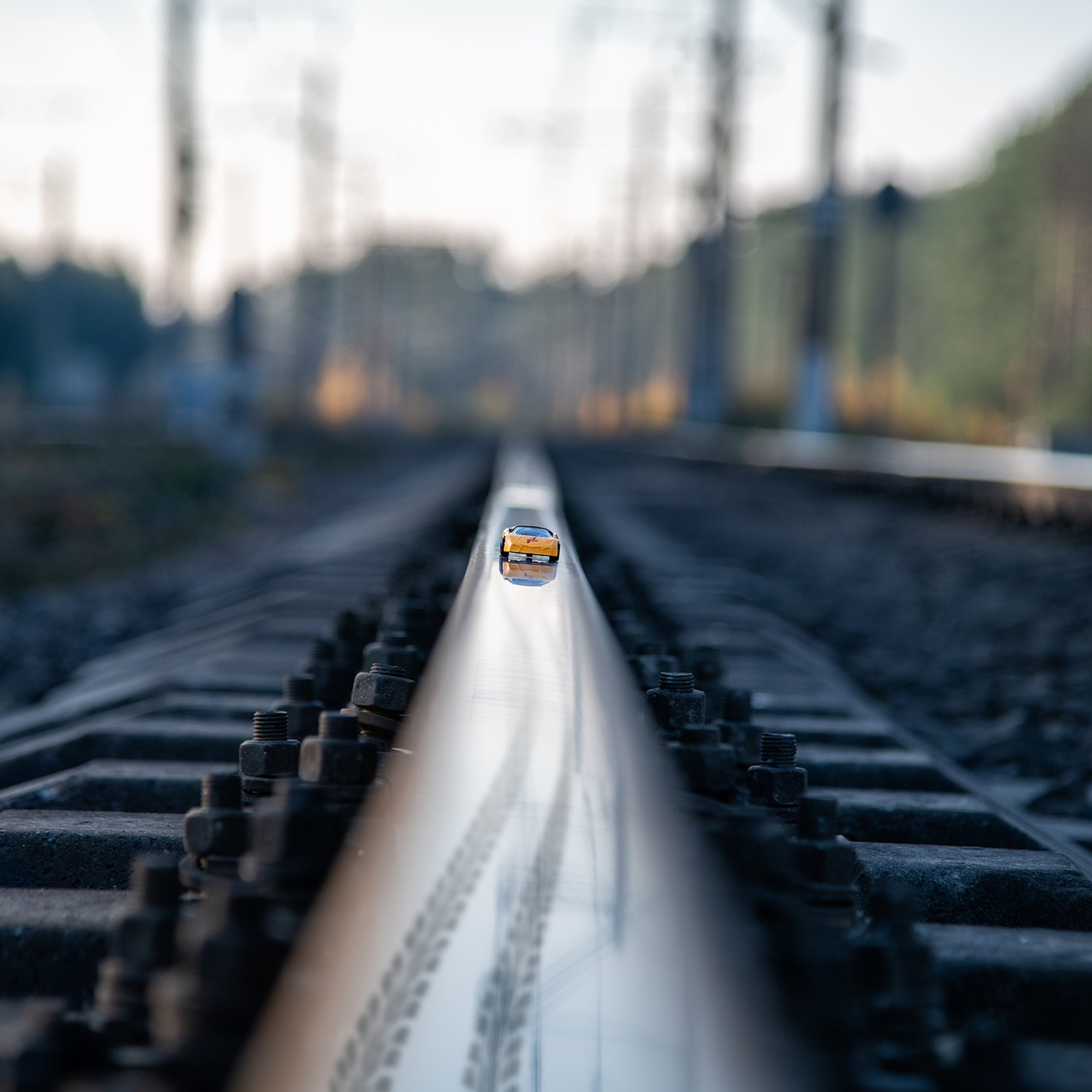 Photographer’s portfolio. AI Photo Retoucher and Image Restorer Zhanna Ognivo