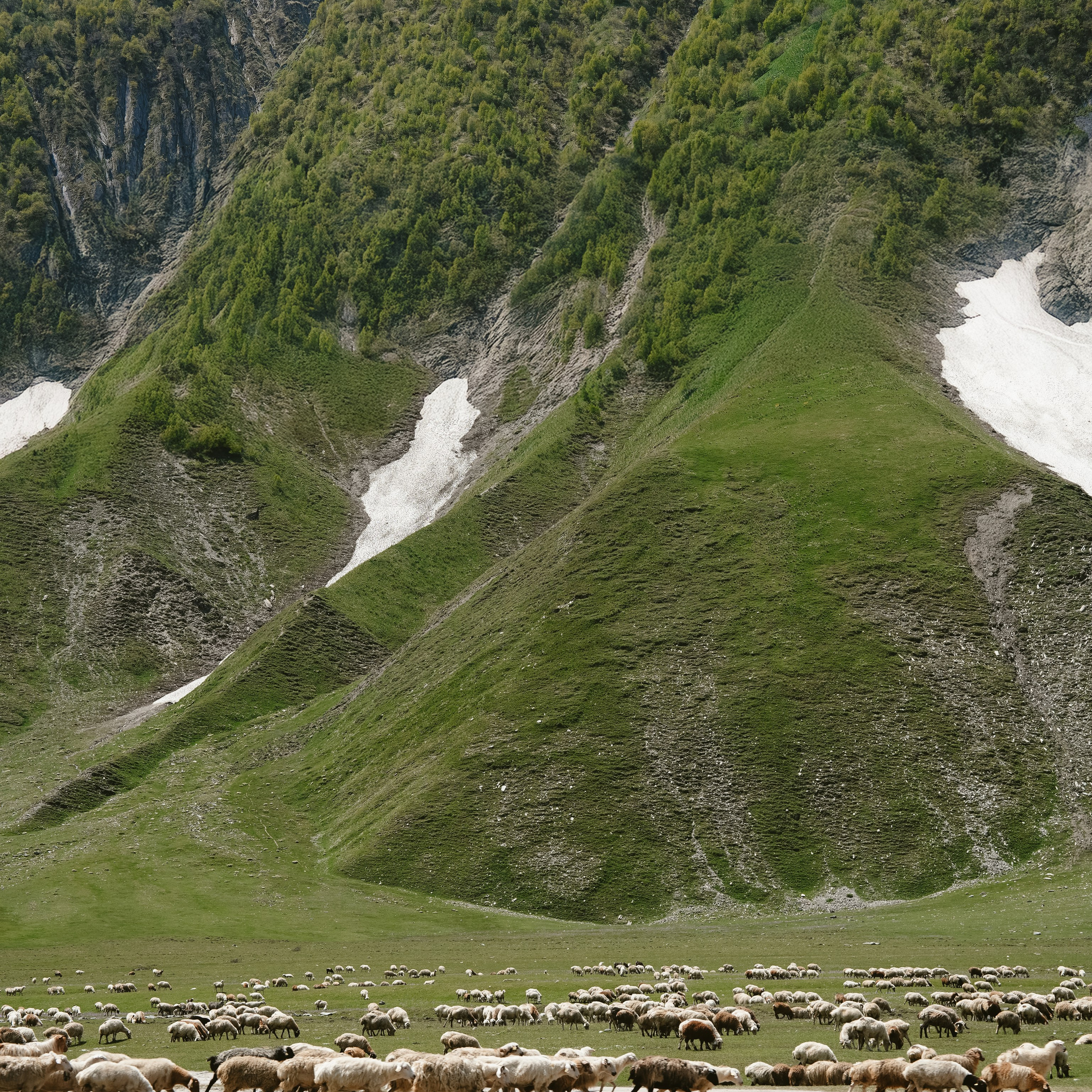 Sport & Adventure Photographer | Gudauri & Kazbegi, Georgia