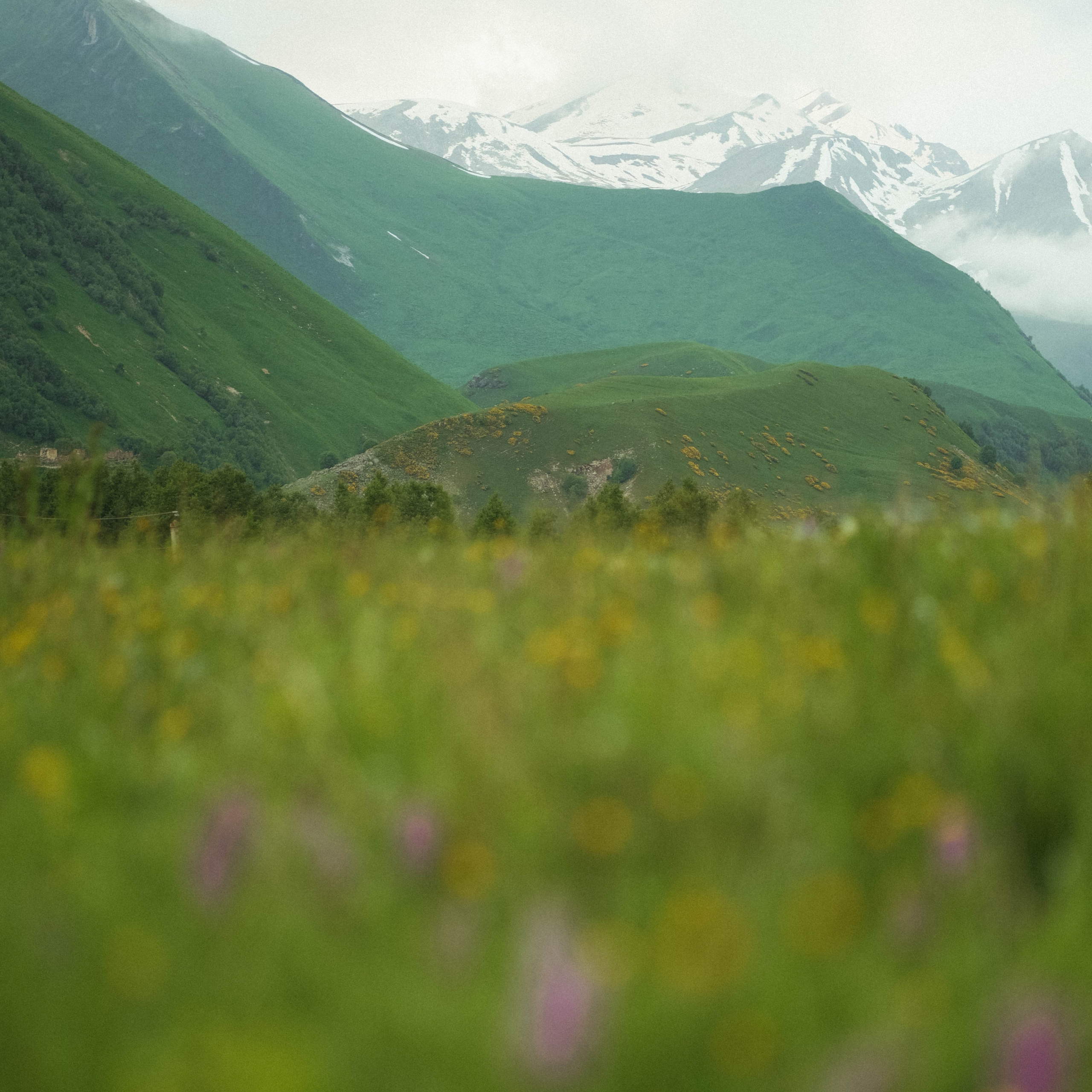 45-Minutes Photo Sessions in Gudauri