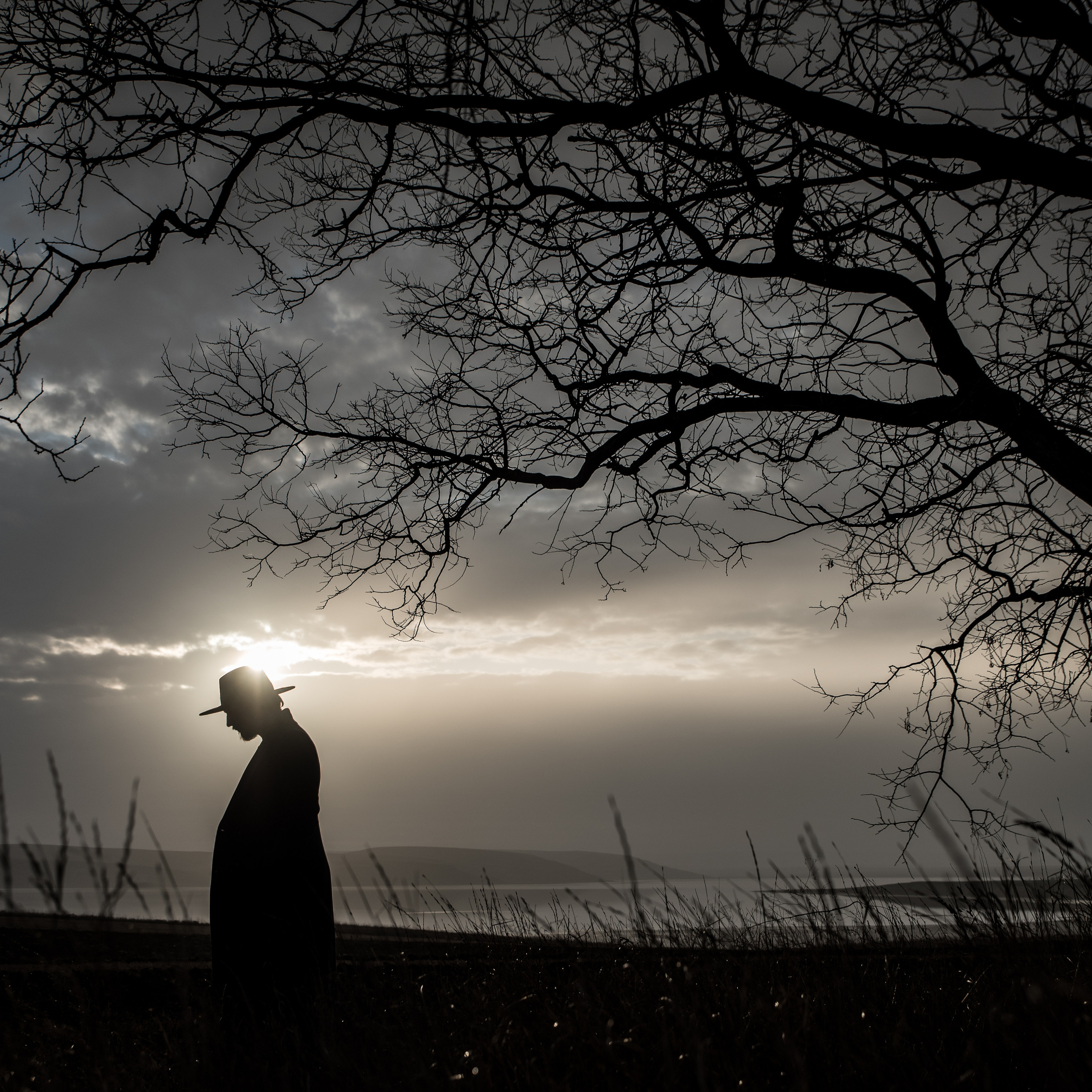 Готовые фото проекты. Ekaterina Verbitskaya. Photography