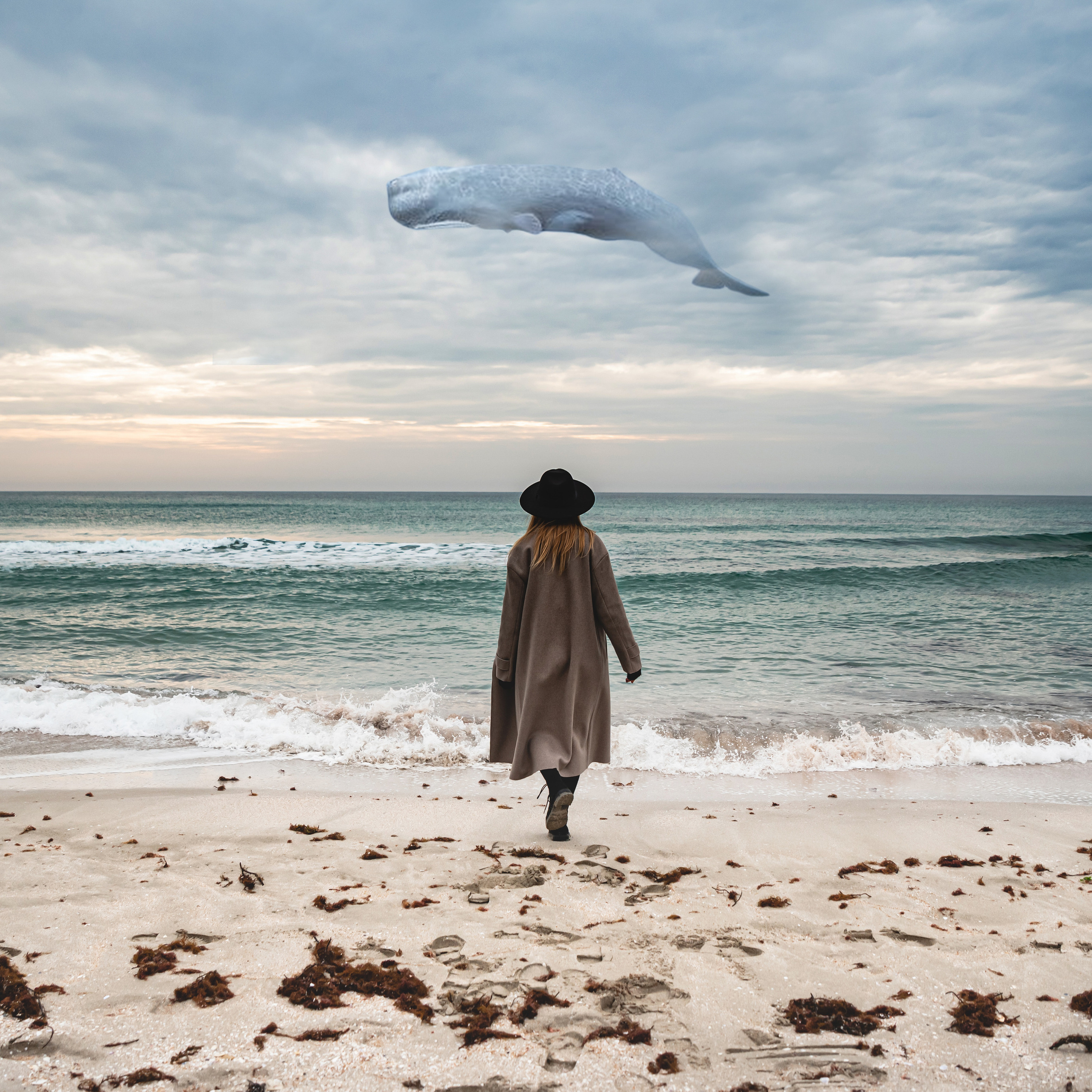 Готовые фото проекты. Ekaterina Verbitskaya. Photography