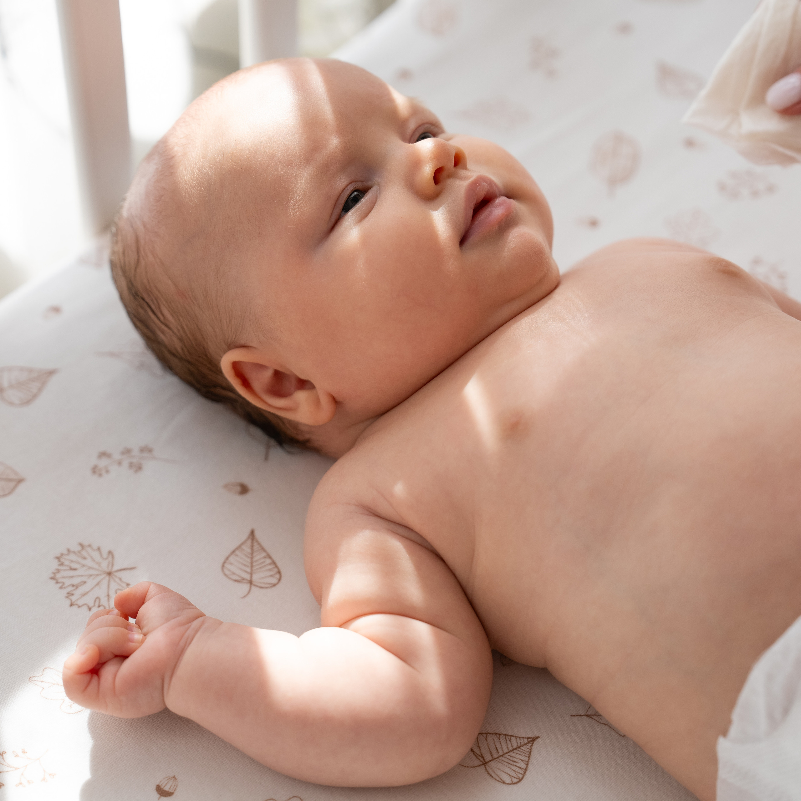 Готовые фото проекты. Ekaterina Verbitskaya. Photography