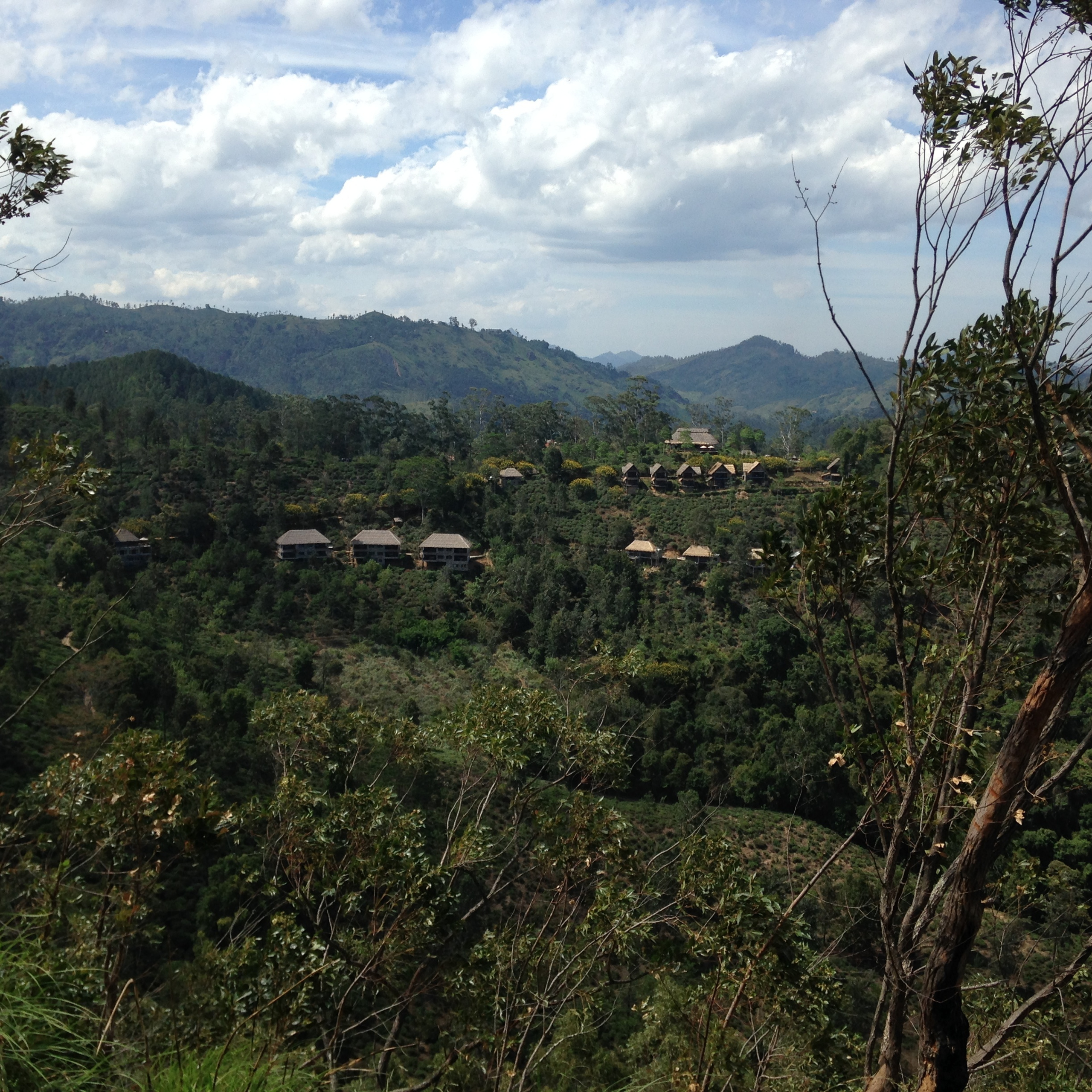 Шри-Ланка — Мальдивы. Mannequins, design, decoration, handmade, photographe…