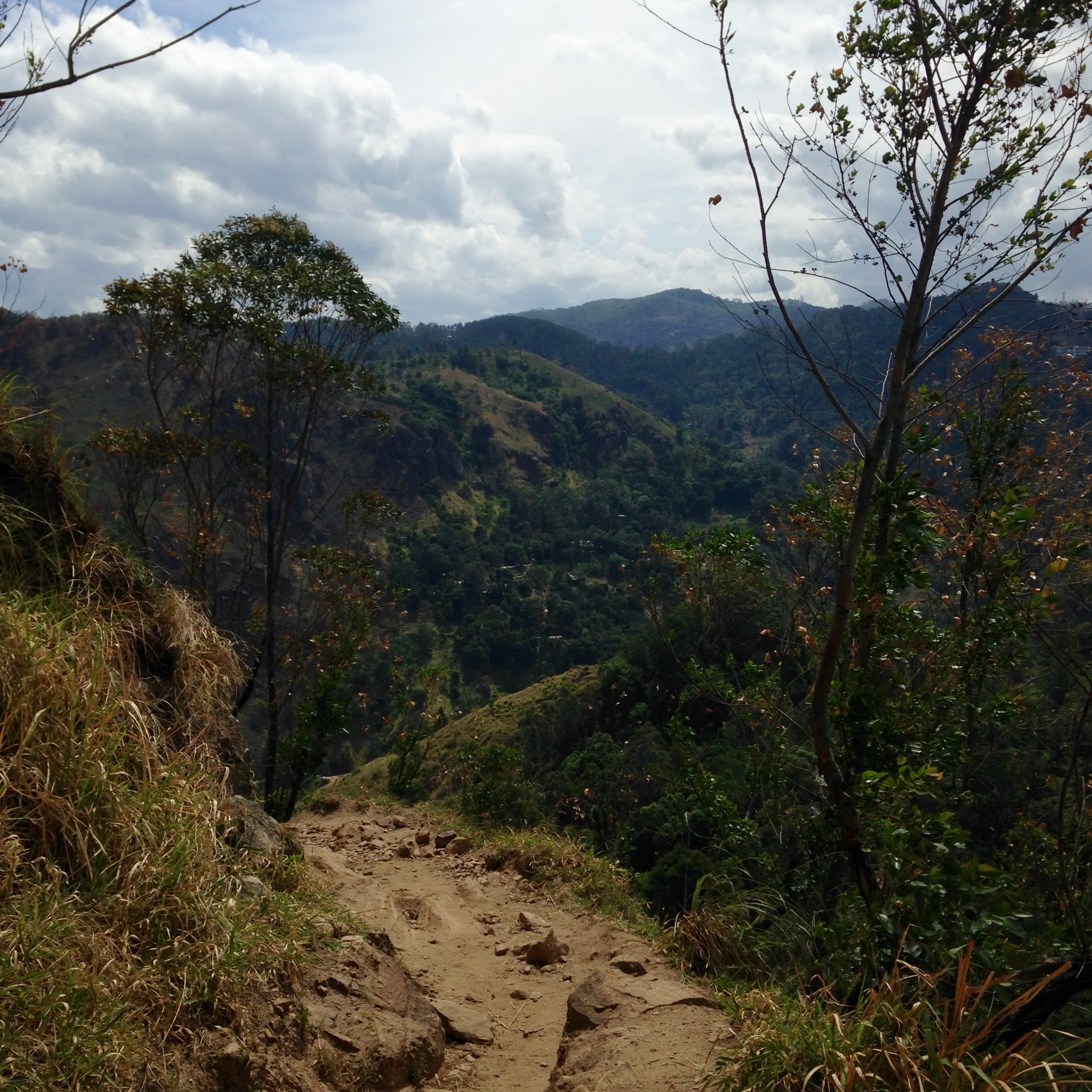 Шри-Ланка — Мальдивы. Mannequins, design, decoration, handmade, photographe…