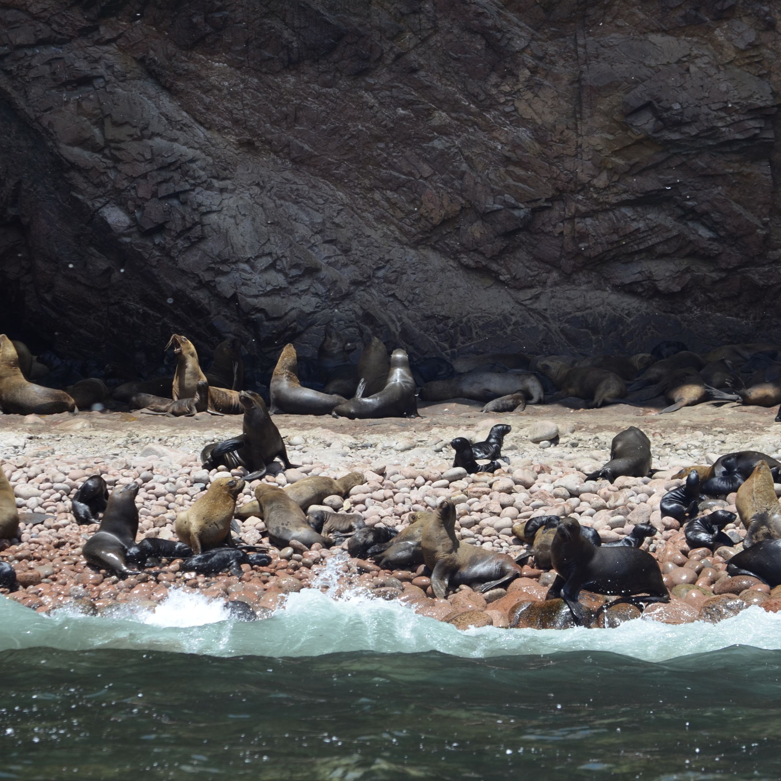 Peru. Милок и Кирок это позитивные и реальные персоны из Люксембурга, много