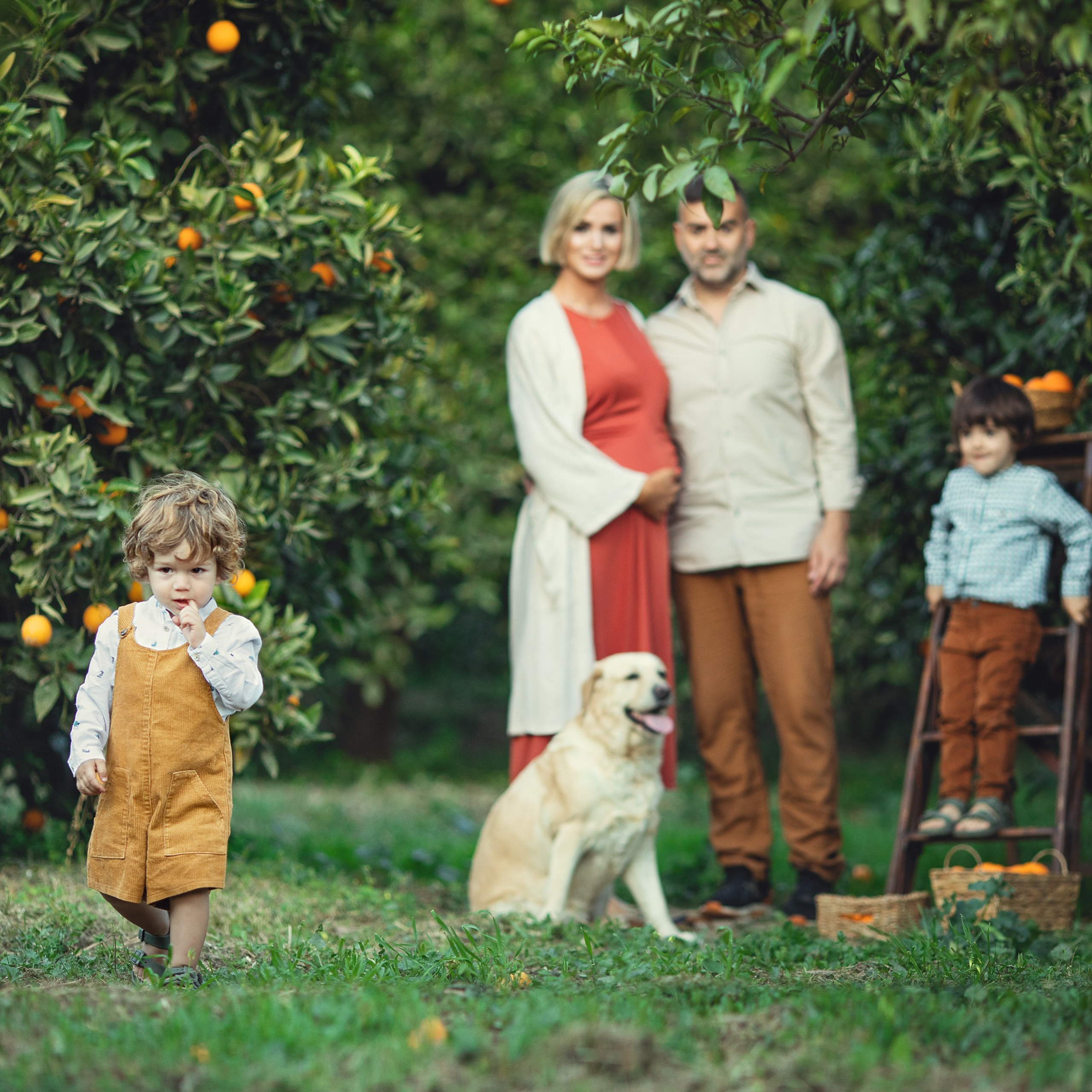 La magia de la espera. Fotógrafo Almeria. Swetlana Ushakova