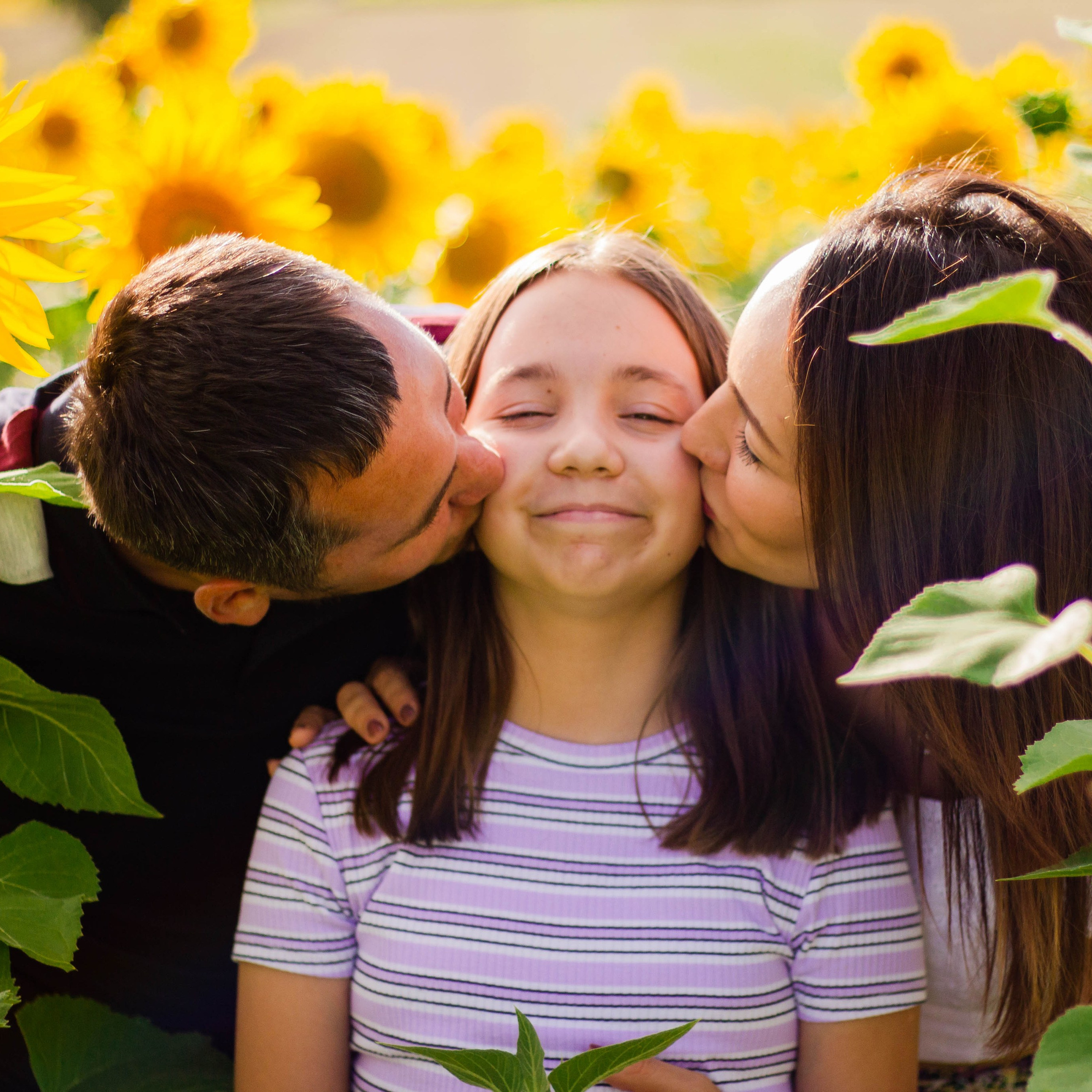 Photo de famille dans un champ de tournesols – maman et papa embrassent leur fille