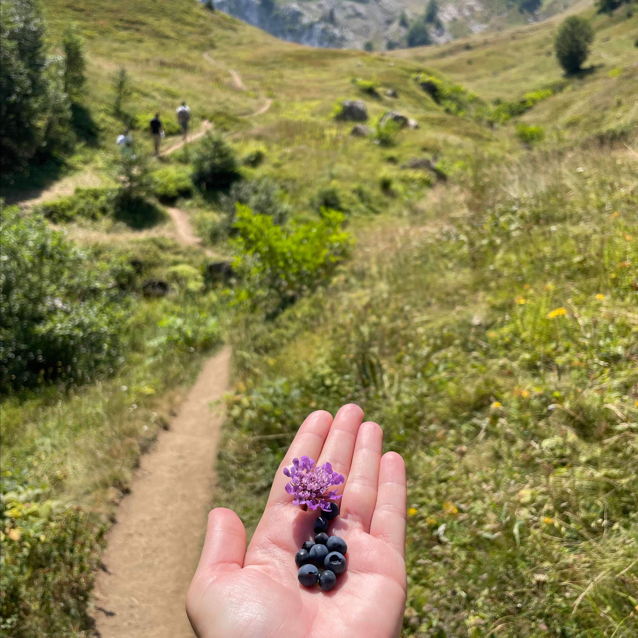 Het Nationaal Park Prokletje in Montenegro