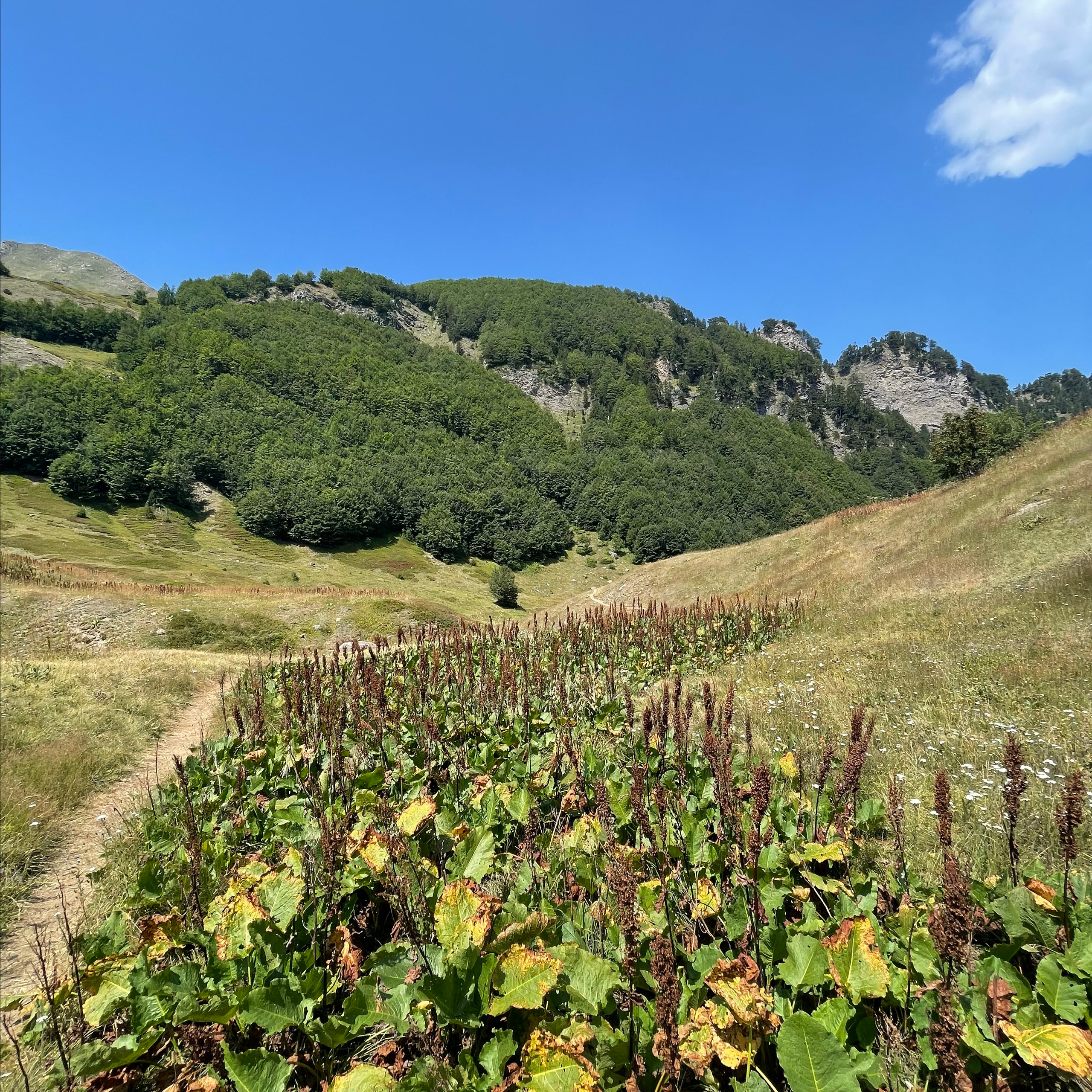Het Nationaal Park Prokletje in Montenegro