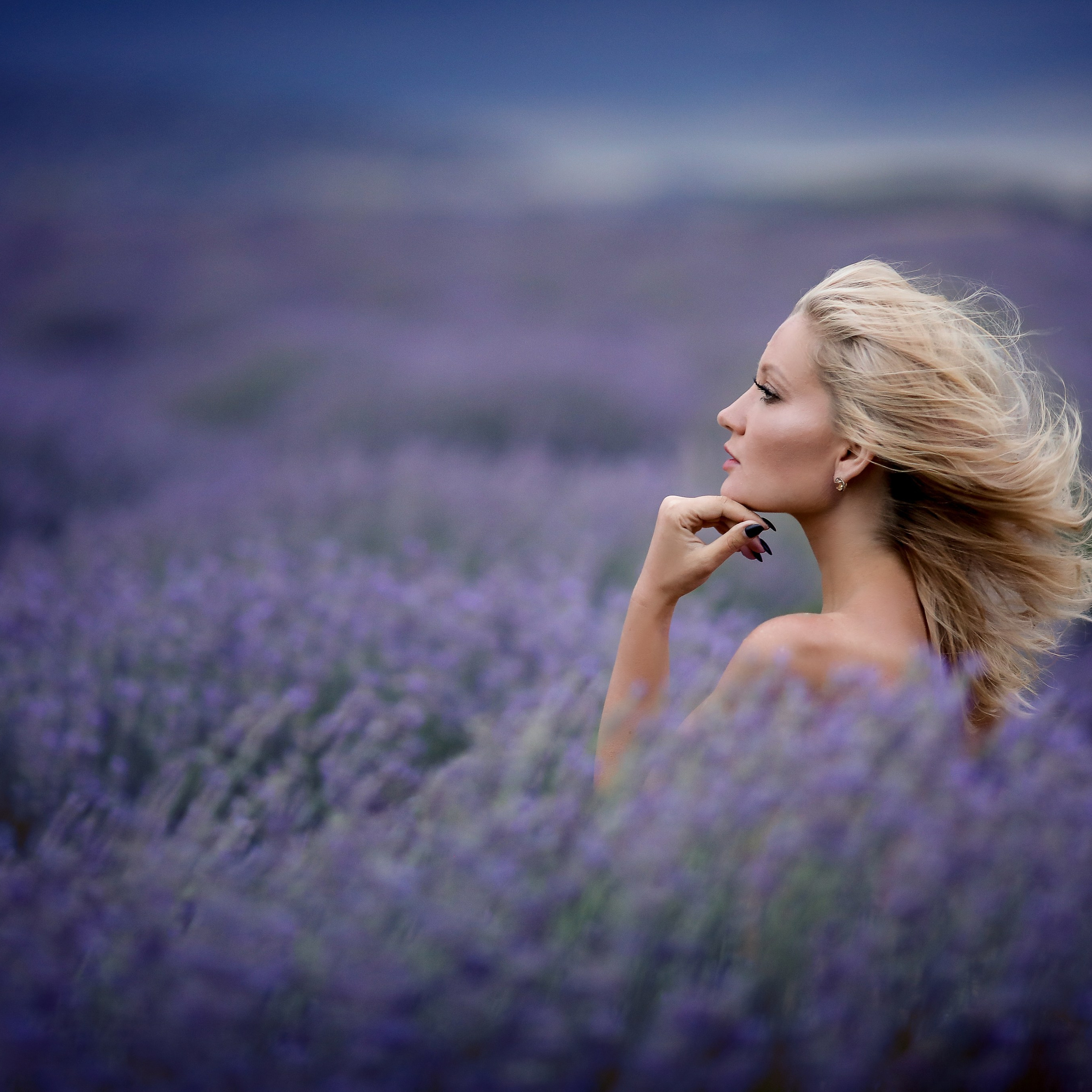 Lavender fields in Turkey