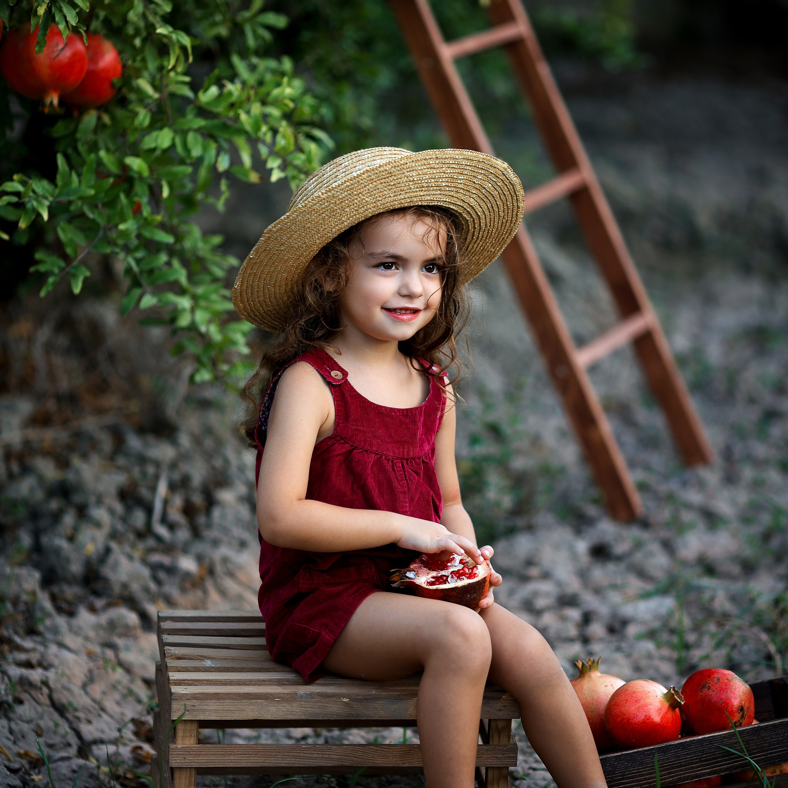 Photoshooting in pomegranate garden