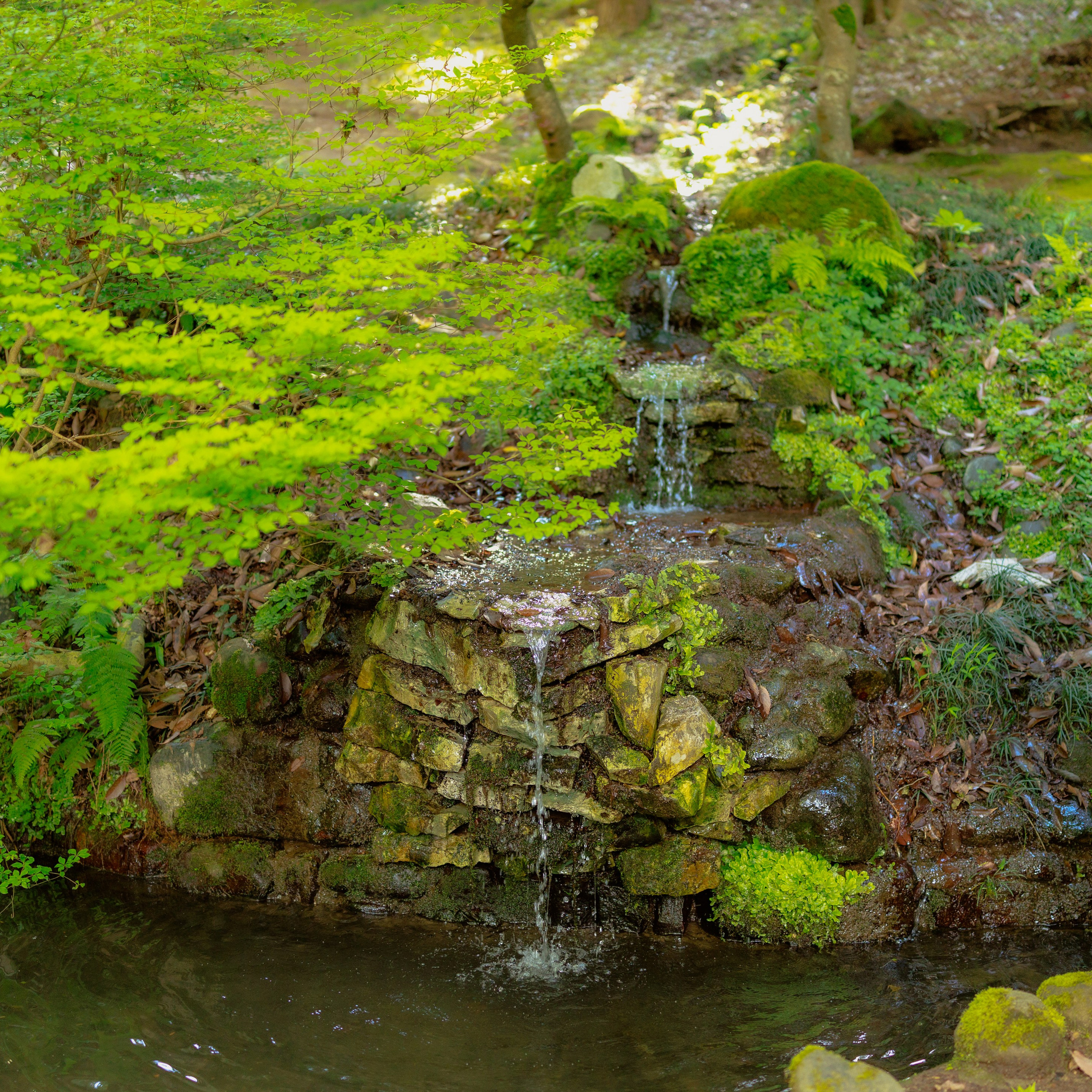 Urban / ურბანული. PHOTOSTORYNIKA