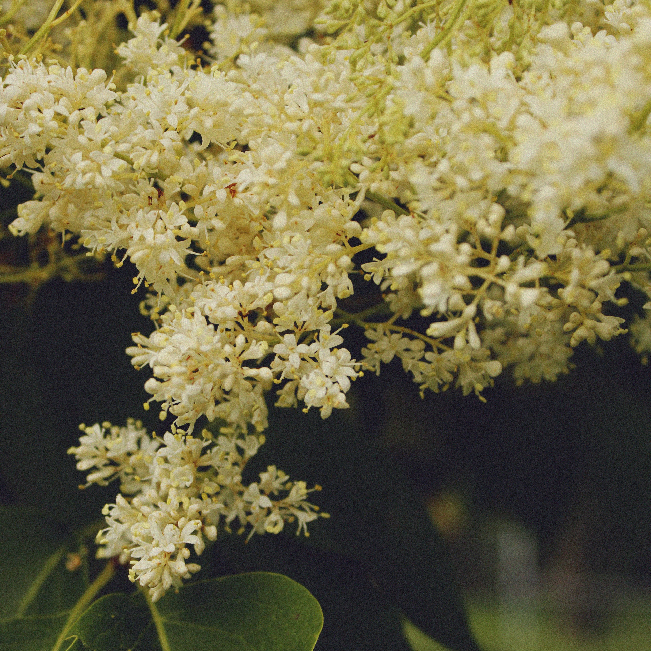 Lana Petrychenko — Portrait & Family Photographer. Valencia, Spain
