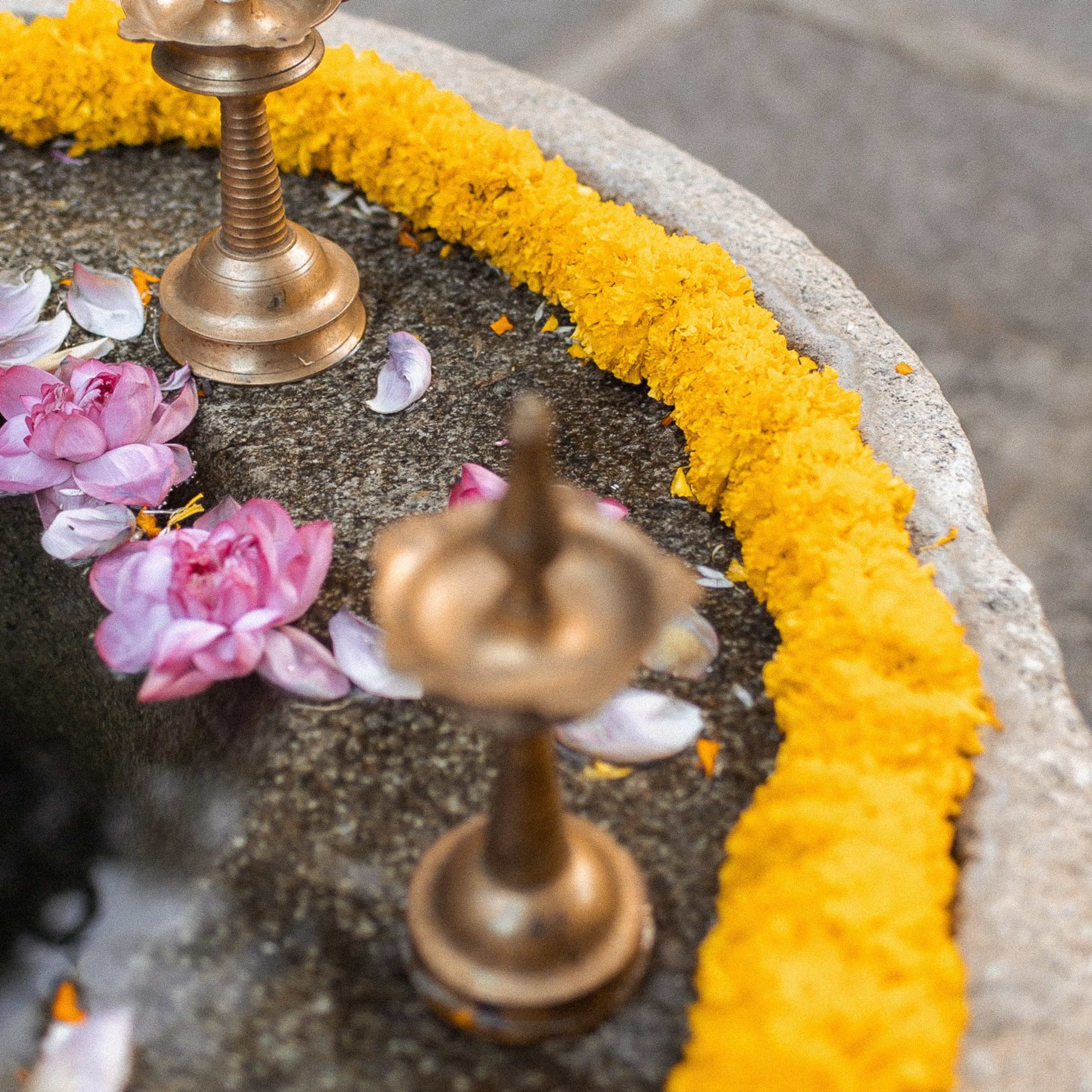 A Tamil Brahmin Wedding at The Tamarind Tree Bangalore