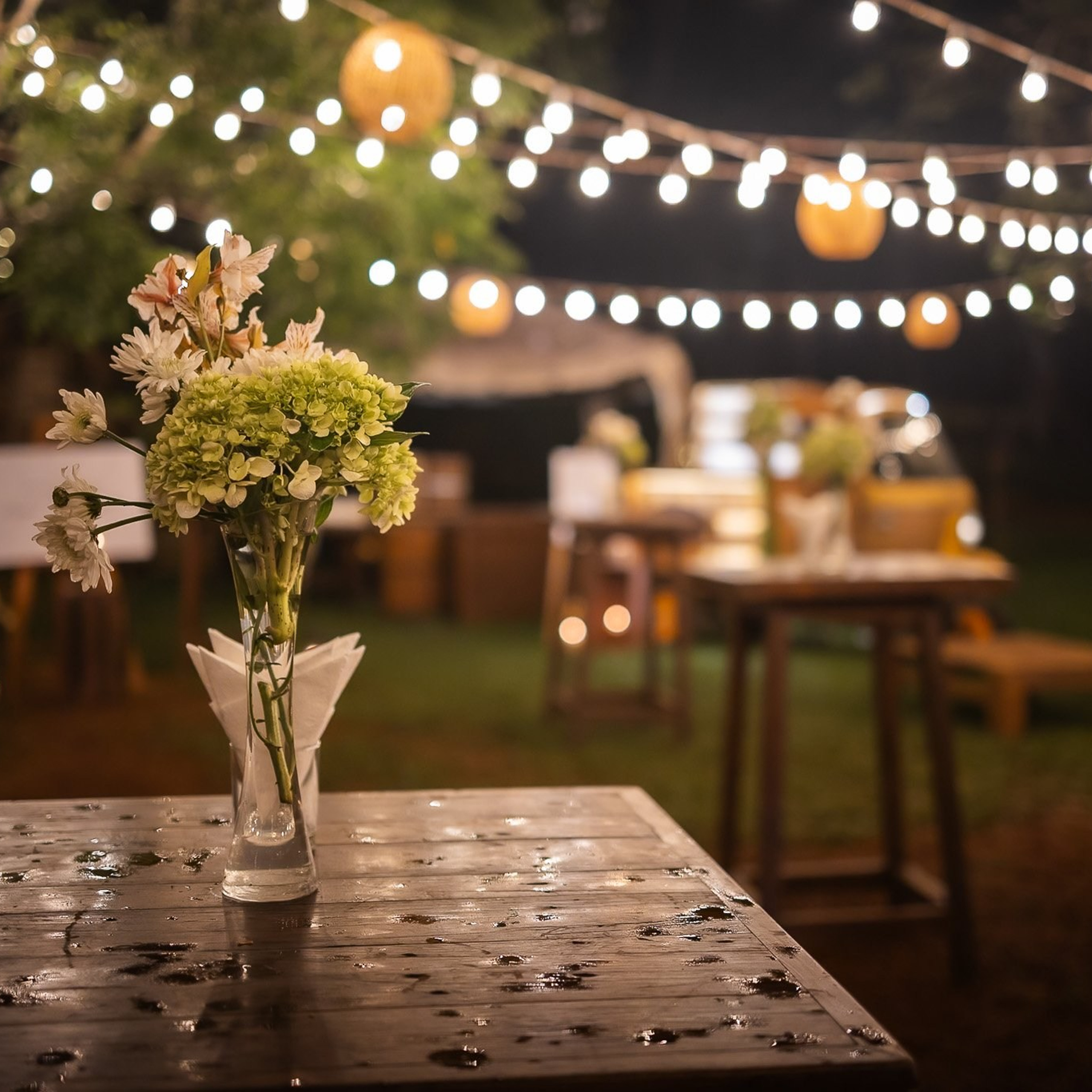 Tamil wedding after party: The Barnhouse, Panadura, Sri Lanka