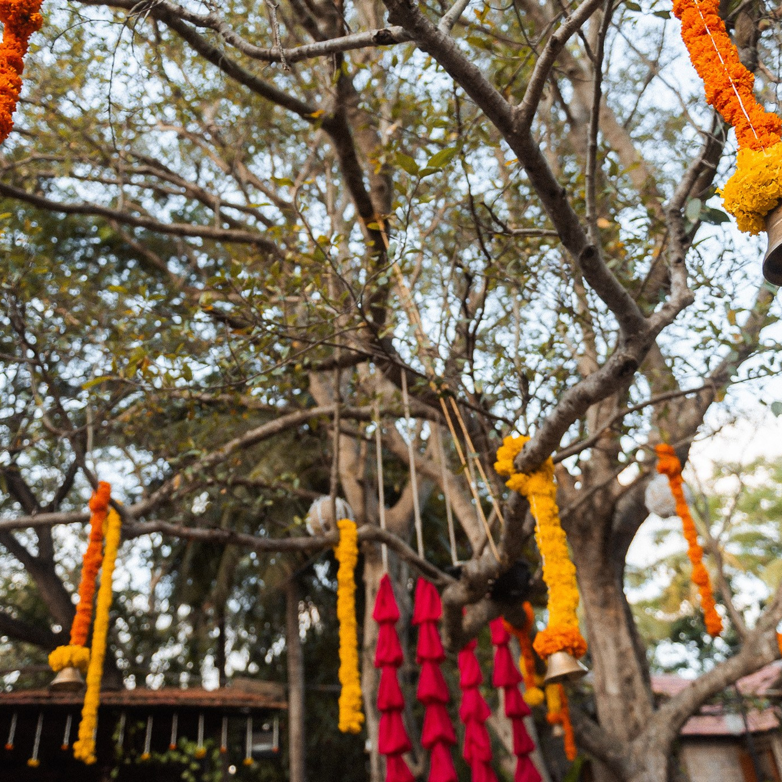 A Tamil Brahmin Wedding at The Tamarind Tree Bangalore