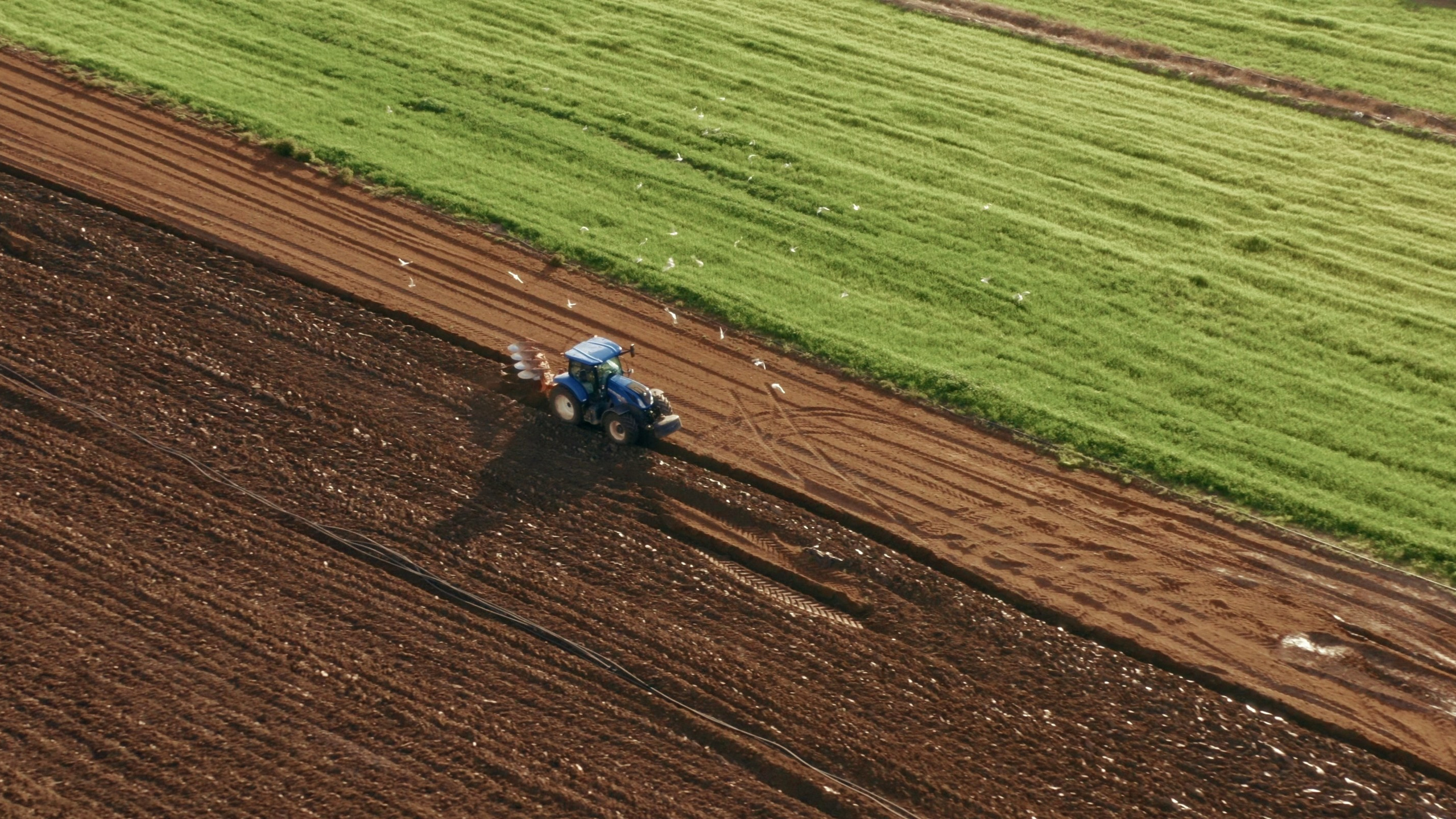 Olho Marinho — 100 Anos de História Viva!