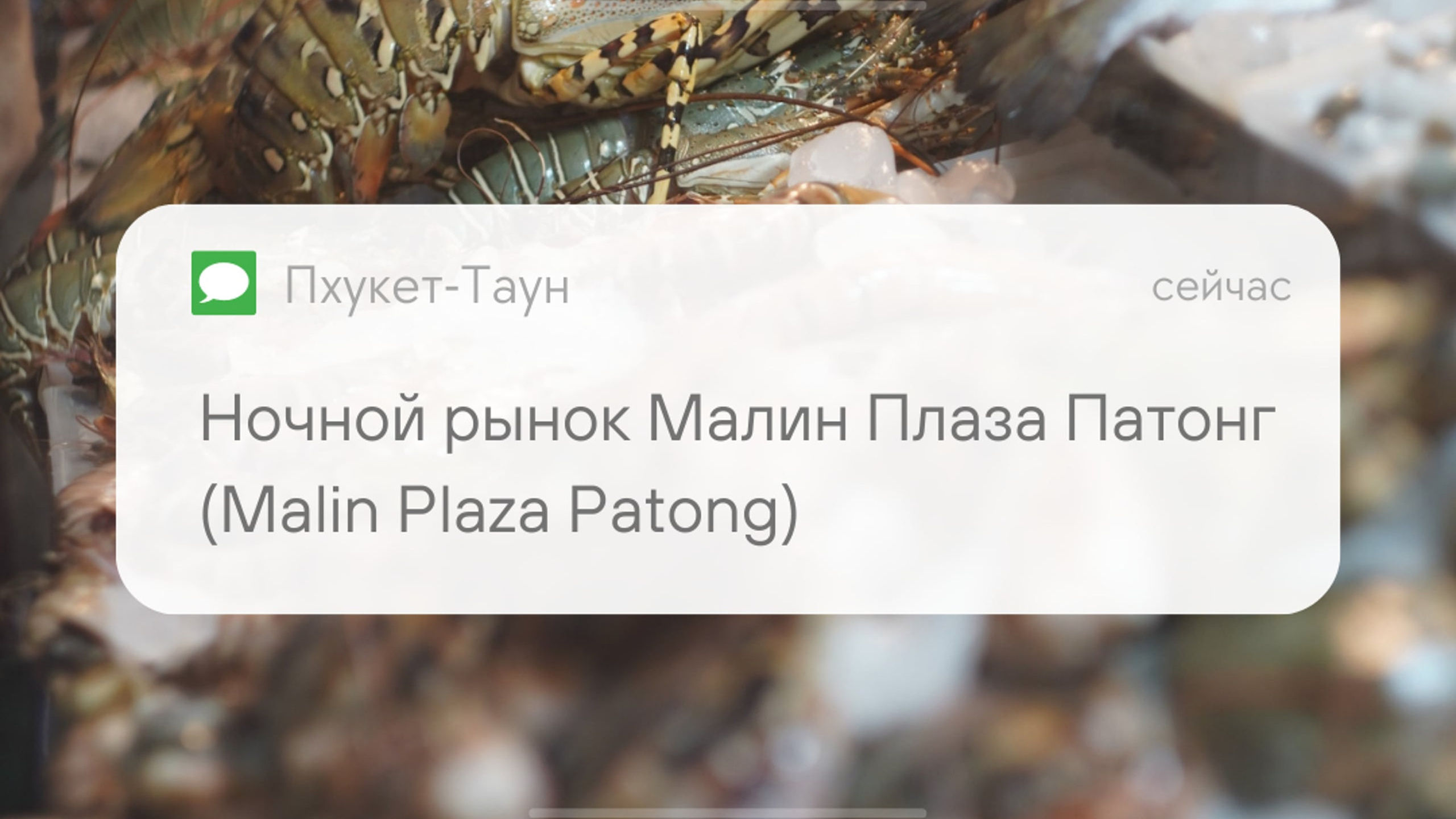 Stories & Reels. Видеограф на Пхукете