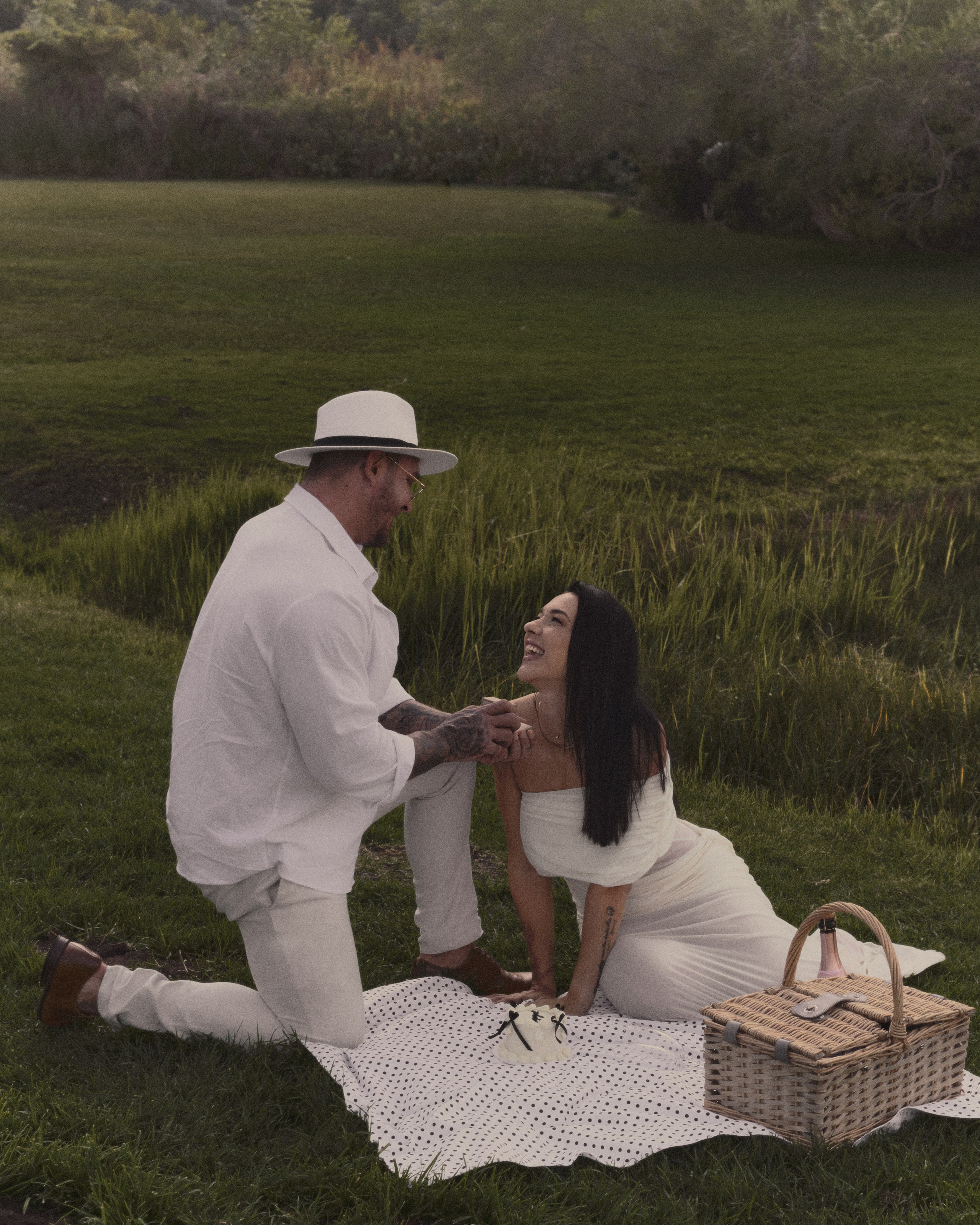 the proposal picnic