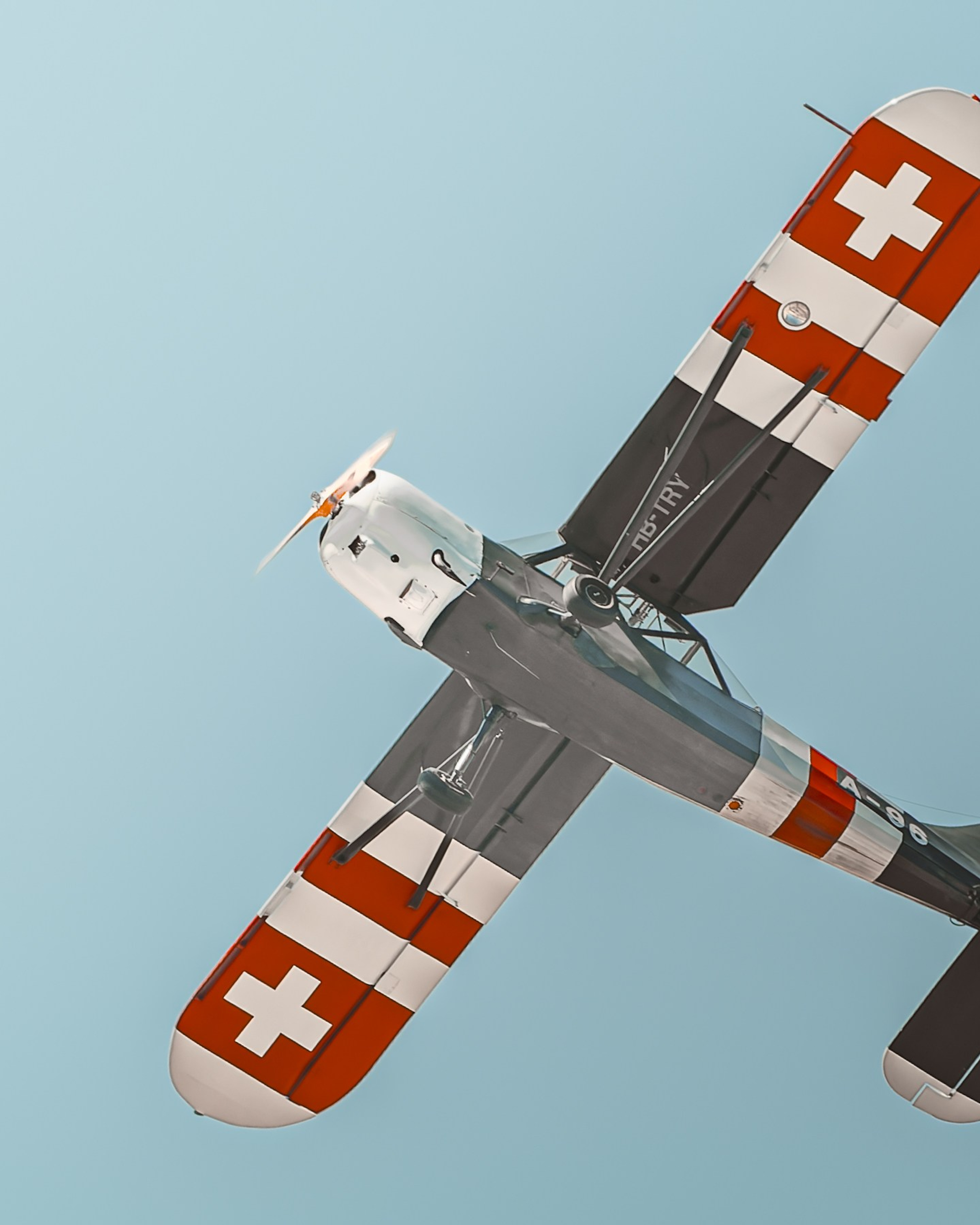 Wings and Frends · Grenchen 2026