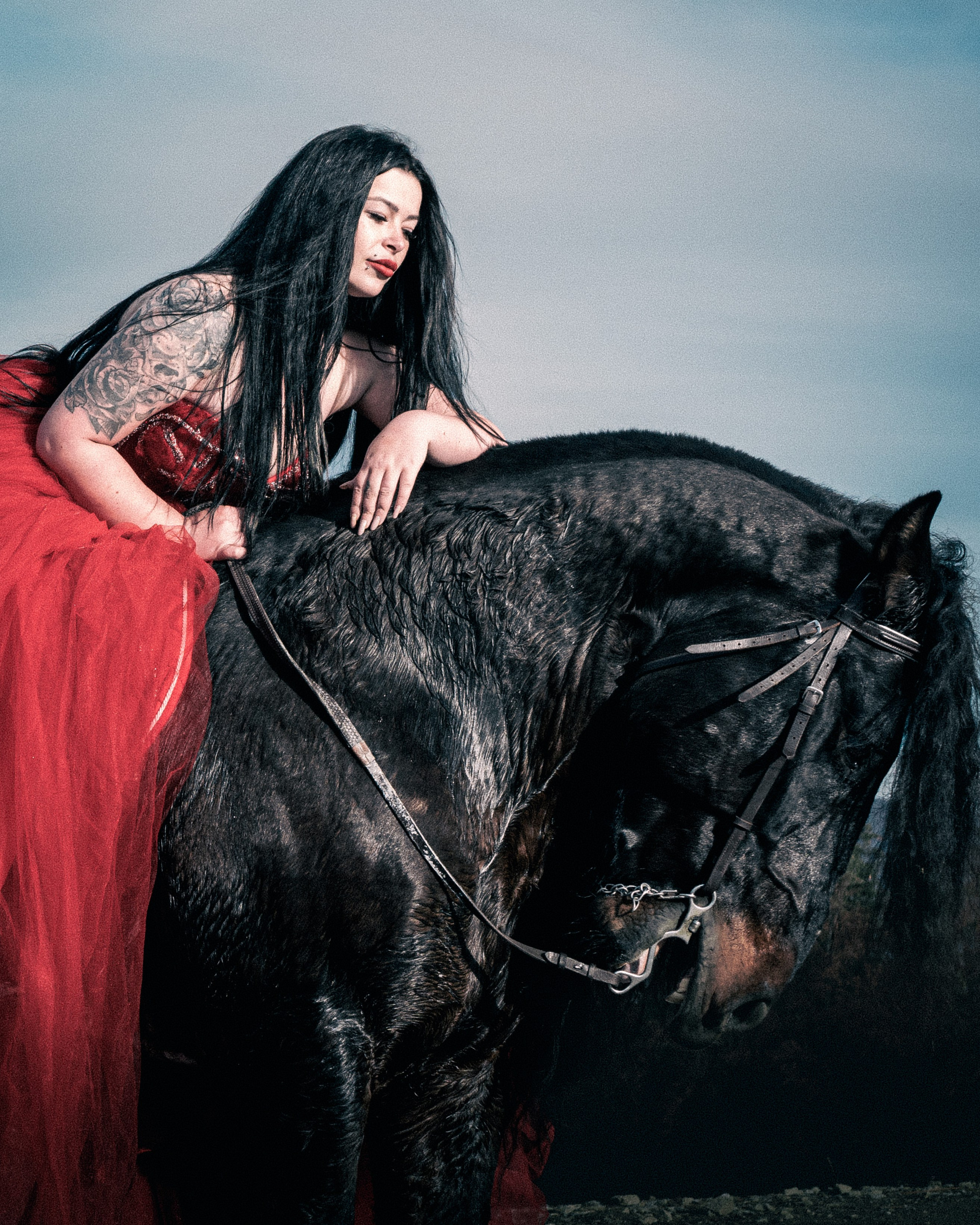 Portrait Gallery — Scarlet & Midnight