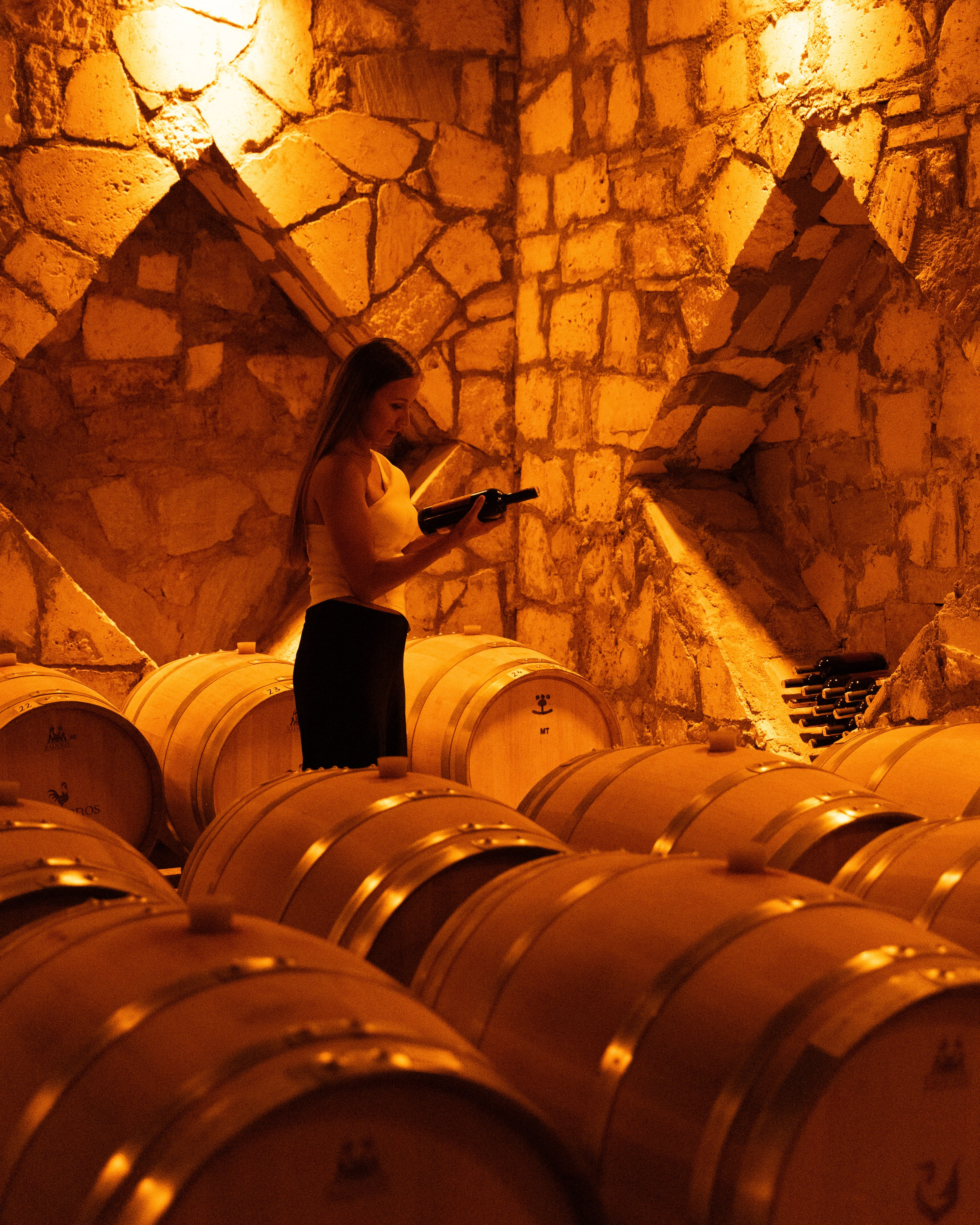 Экскурсия в винный регион Чал из Анталии