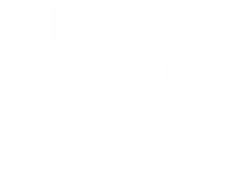 sparkling.vision