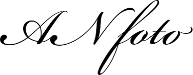 aliaksandranorvilas.com