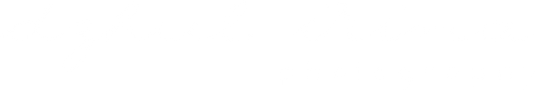 irinadzhul.com