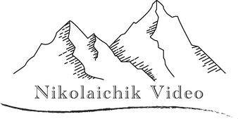 nikolaichik.video
