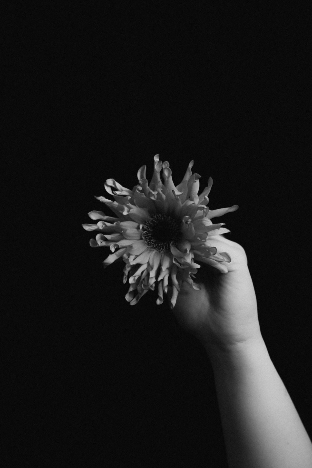 Meeste ja naiste fotograaf Tallinnas Anna Sipari