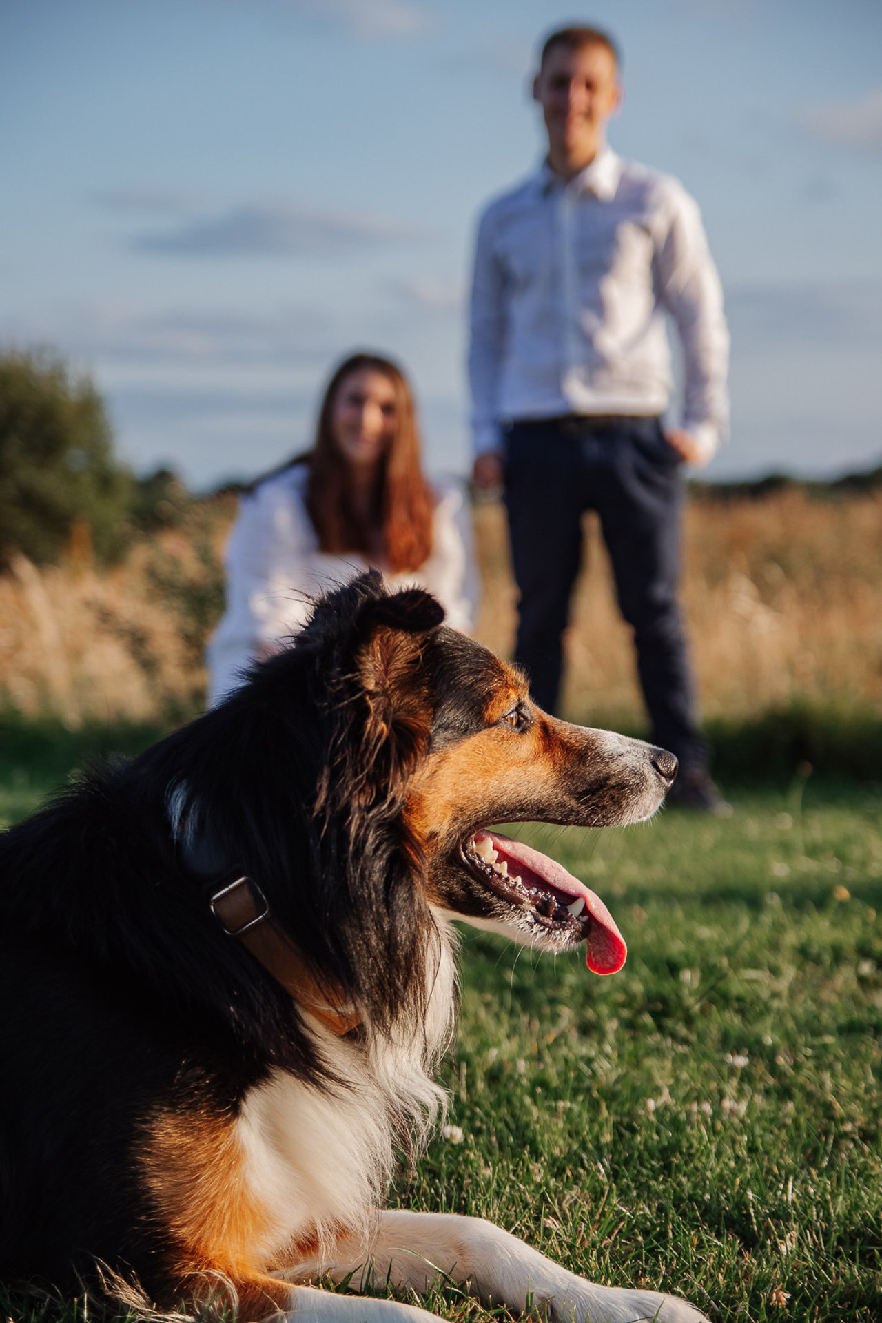Blog. Wedding and family photographer in Waterford, Ireland Katerina Siviene
