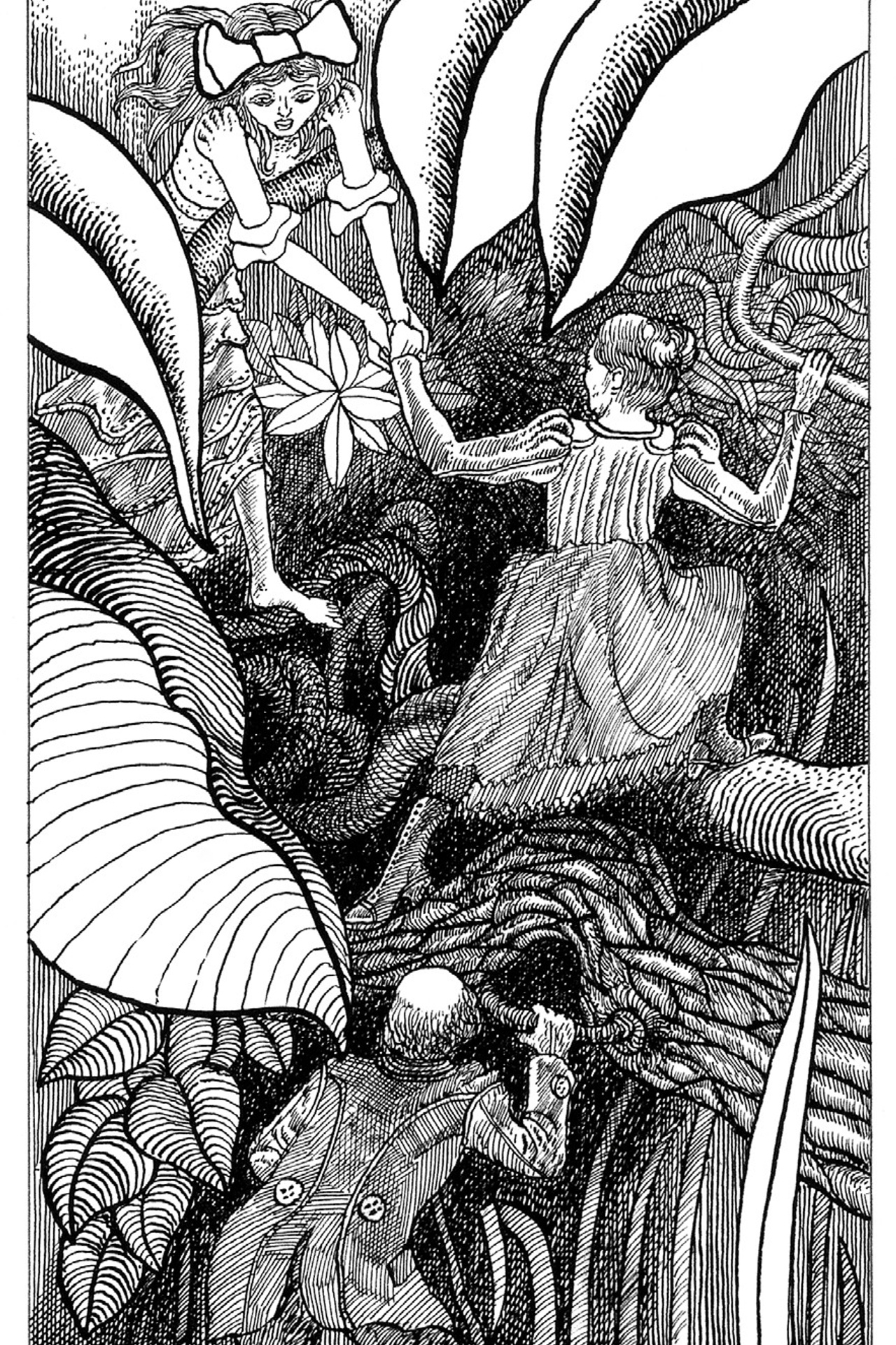 Ilustracja