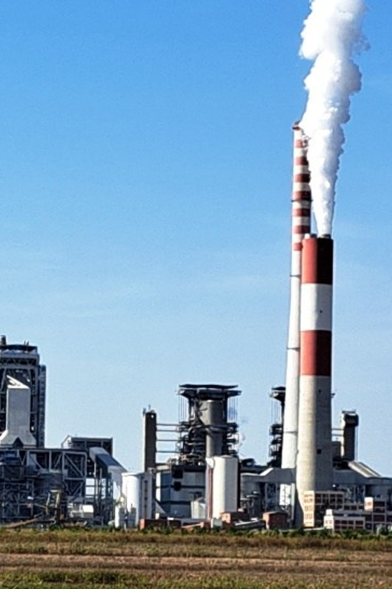 Autorski tekstovi. Nenad Šijaković