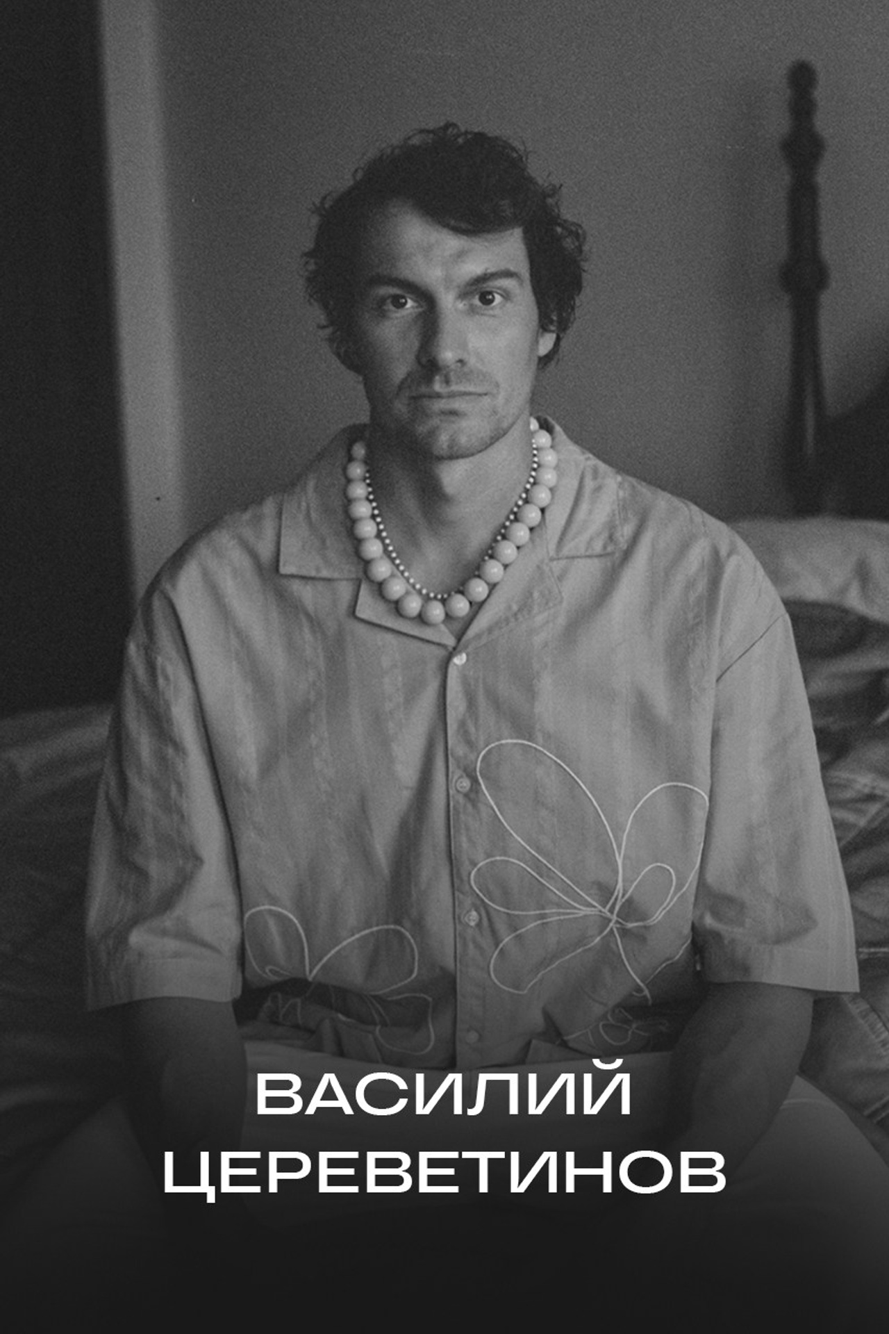 https://tserevitinov.wfolio.pro