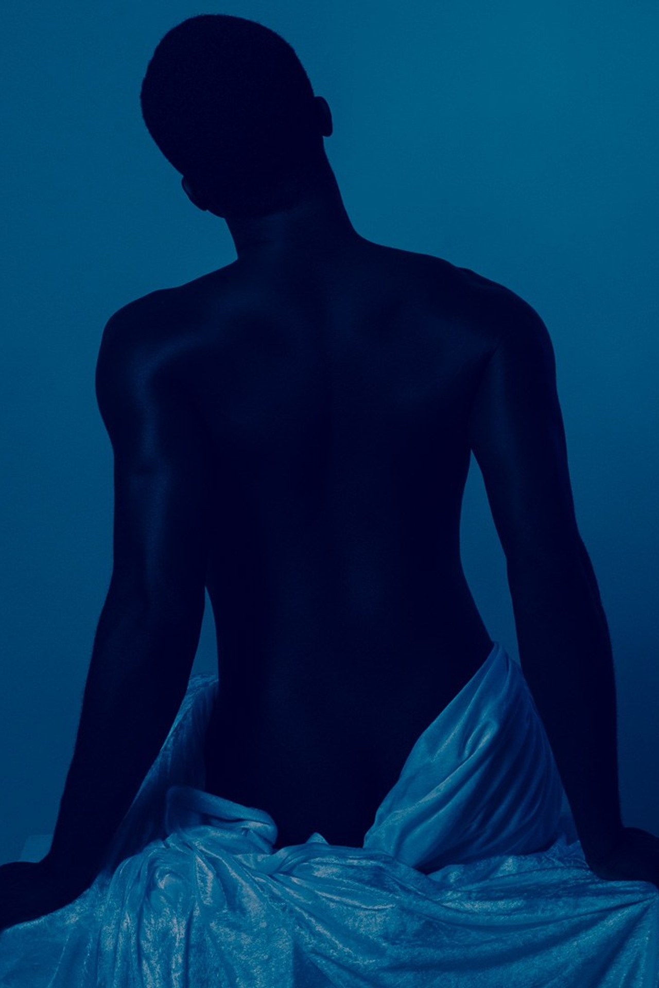 In the Shadows of Elegance