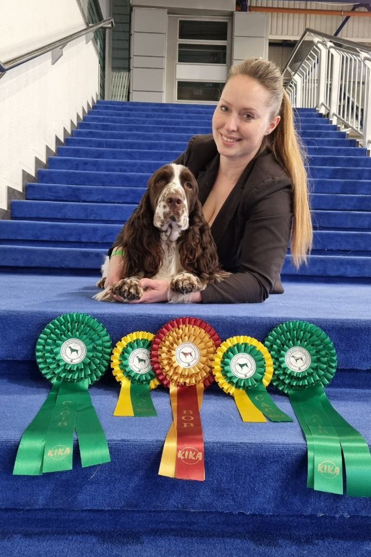 English Springer Spaniel show results WANDERLOVE JESSE JAMES. Website of the titled stud dog of the Springer Spaniel breed