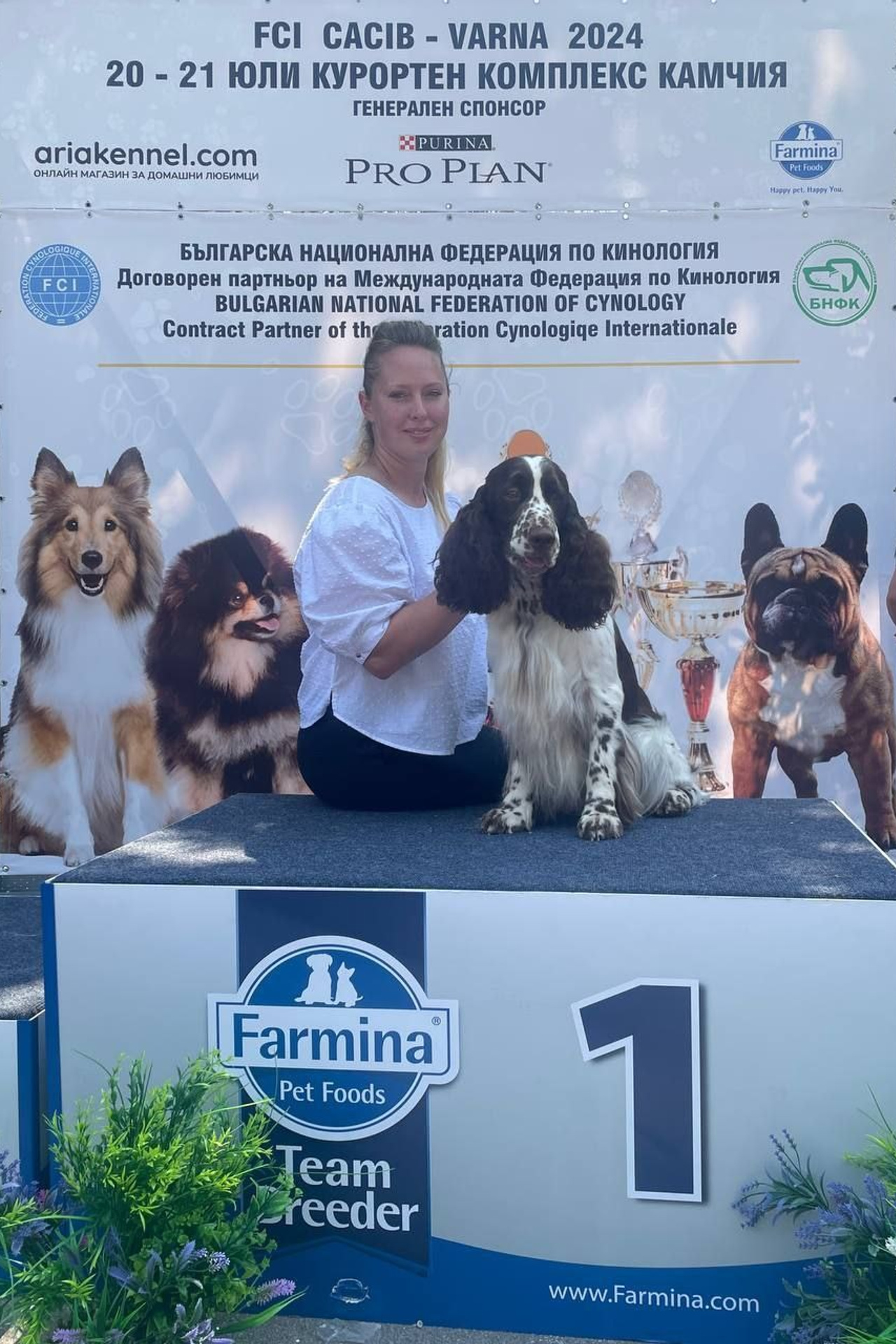 English Springer Spaniel show results WANDERLOVE JESSE JAMES. Website of the titled stud dog of the Springer Spaniel breed